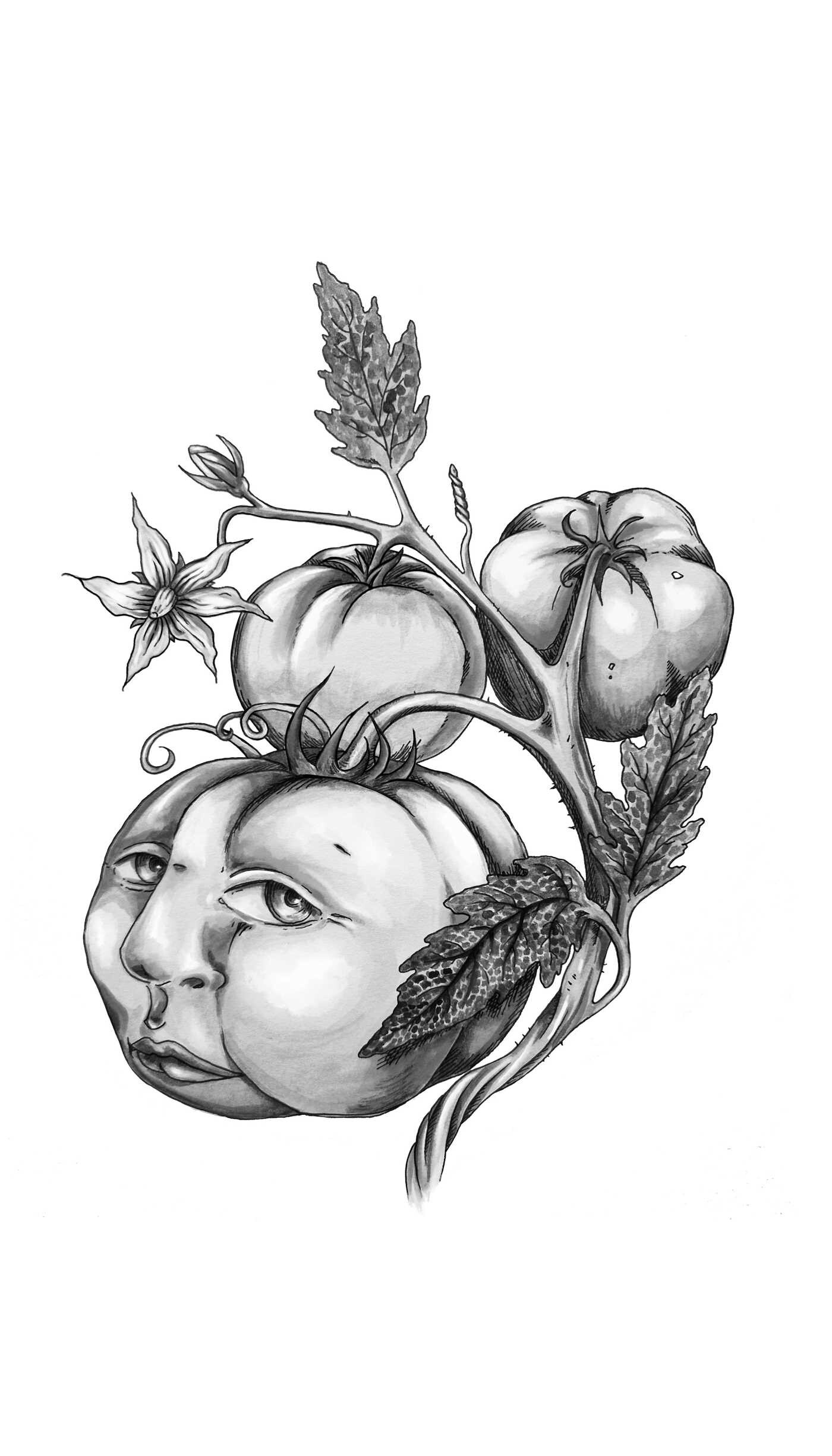 Secret Life of Vegetables