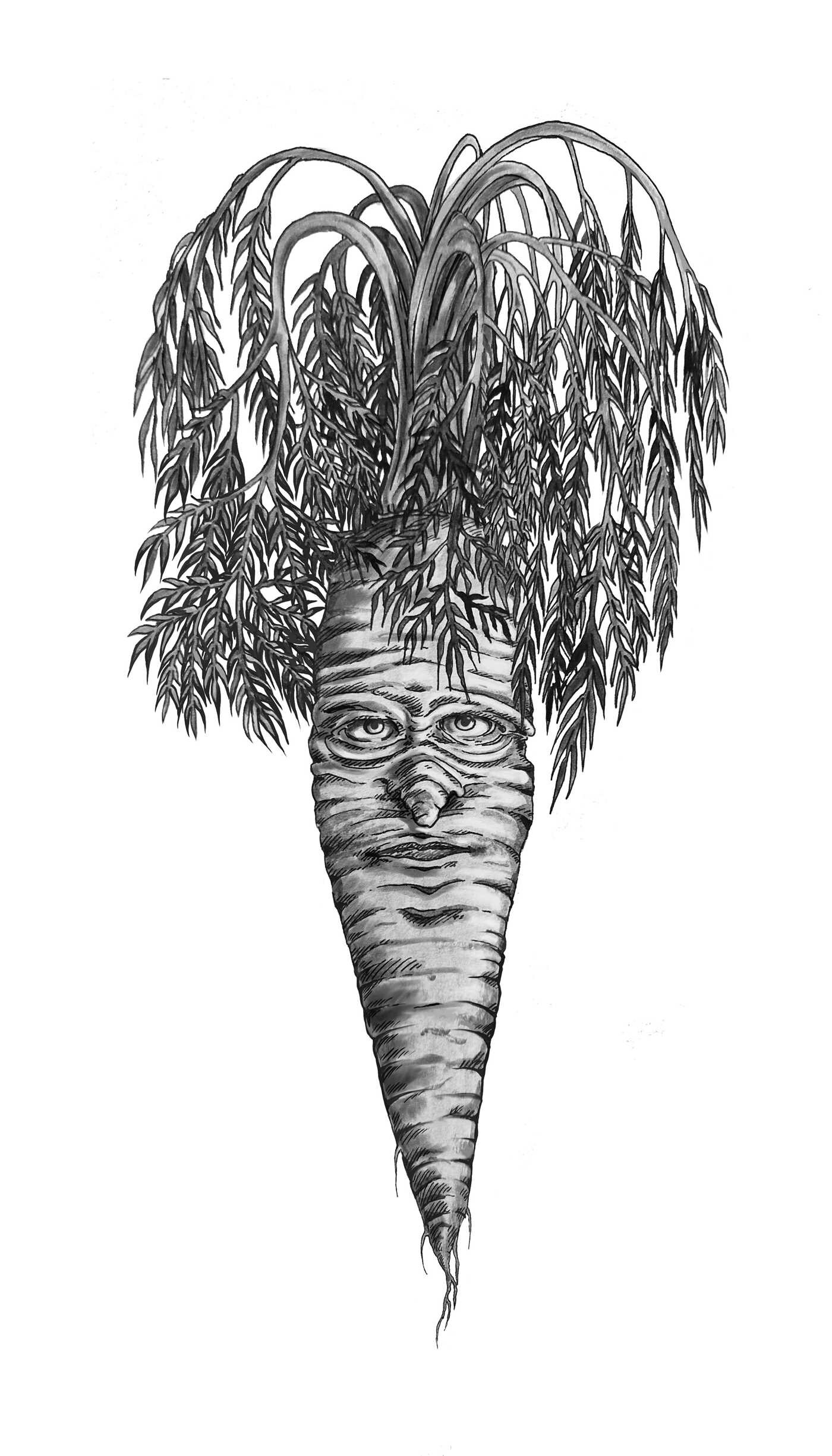 Secret Life of Vegetables
