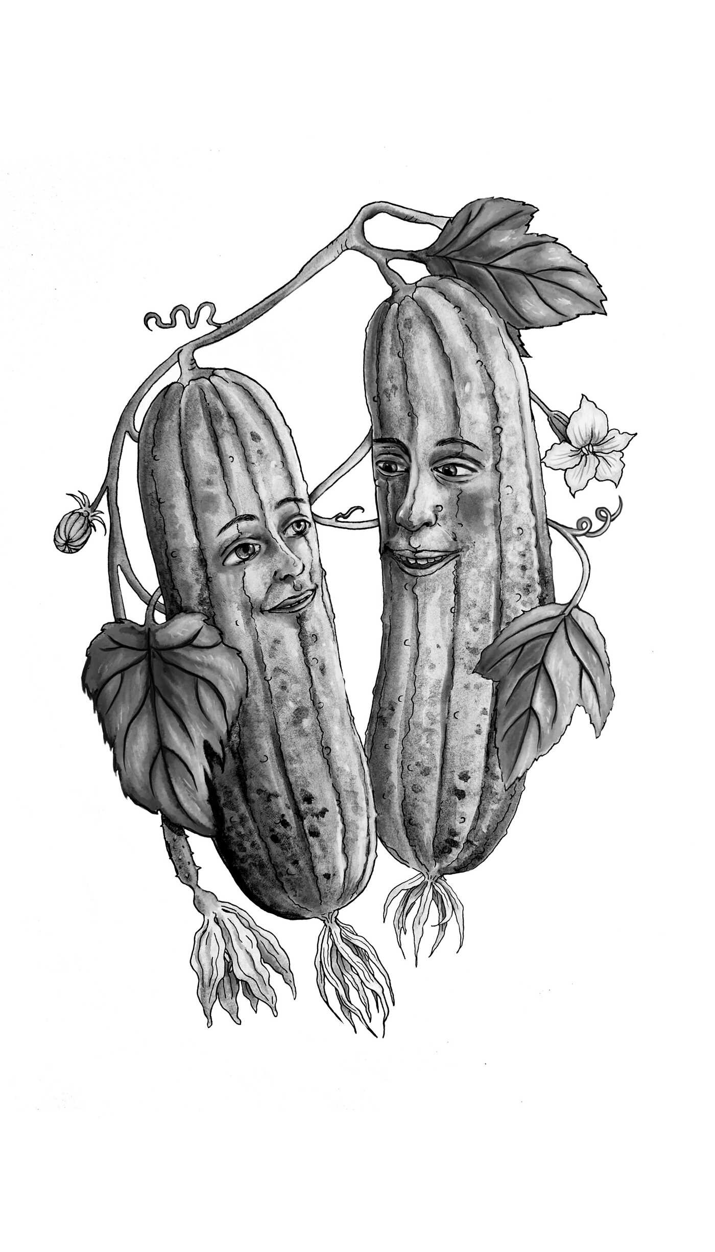 Secret Life of Vegetables