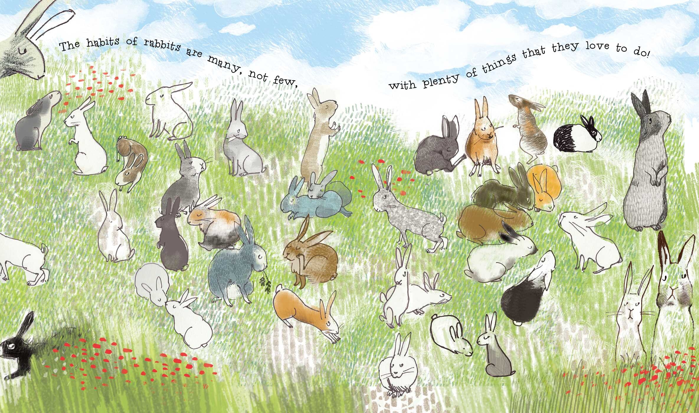 Wonderful Habits of Rabbits