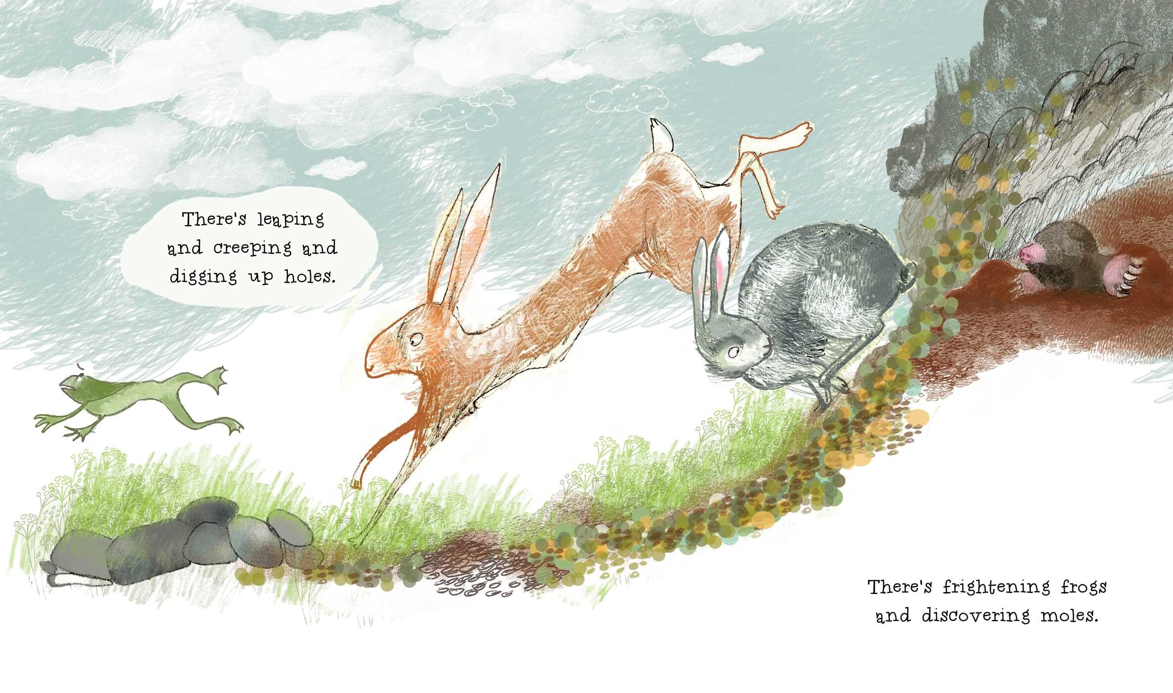 Wonderful Habits of Rabbits
