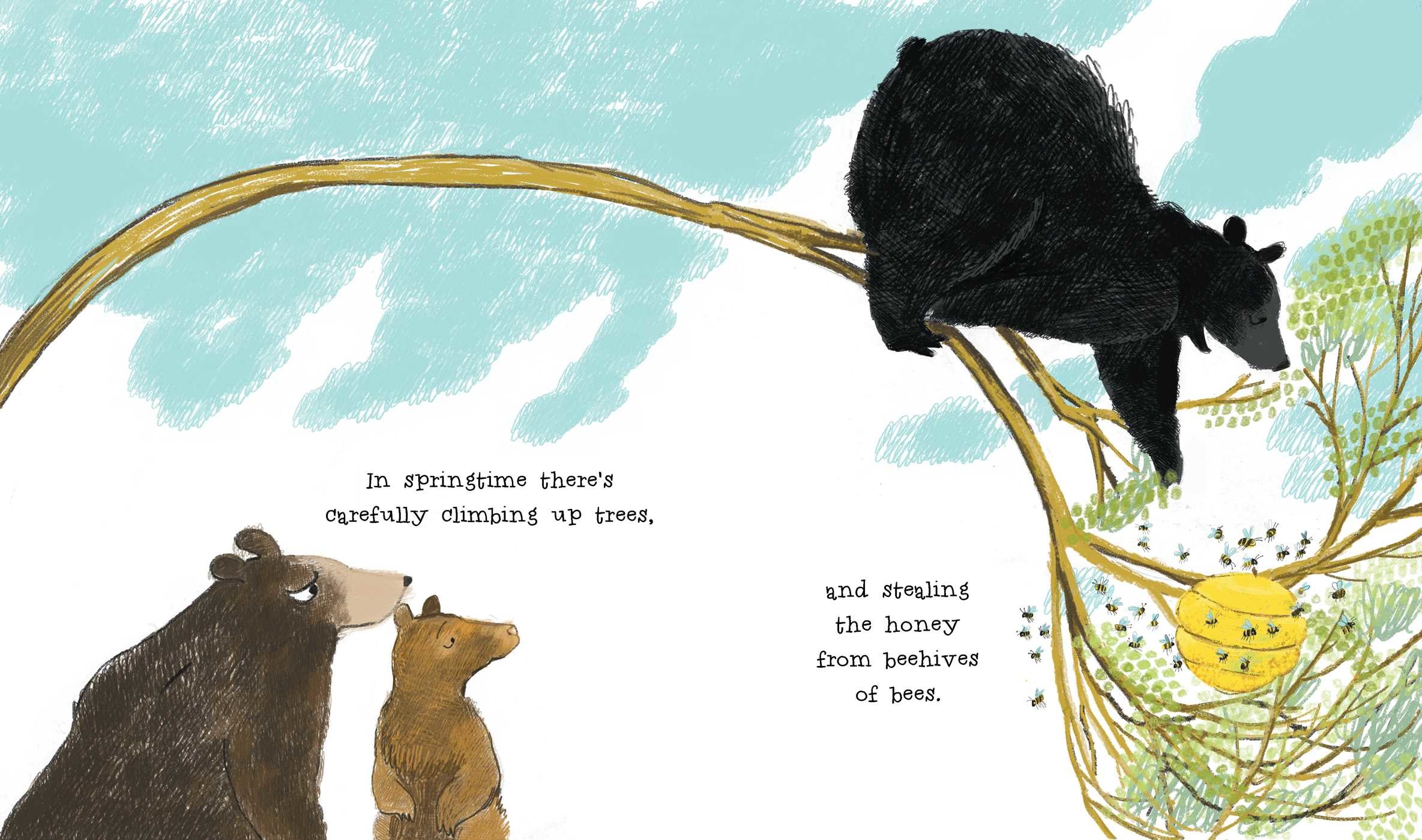 Curious Cares of Bears