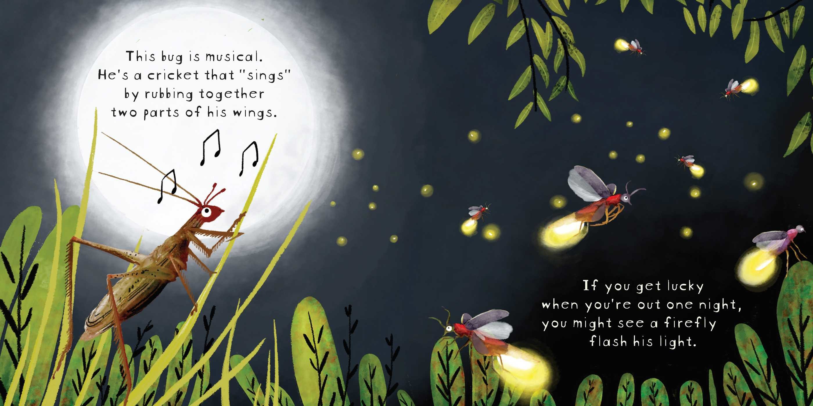 Look! Bugs!