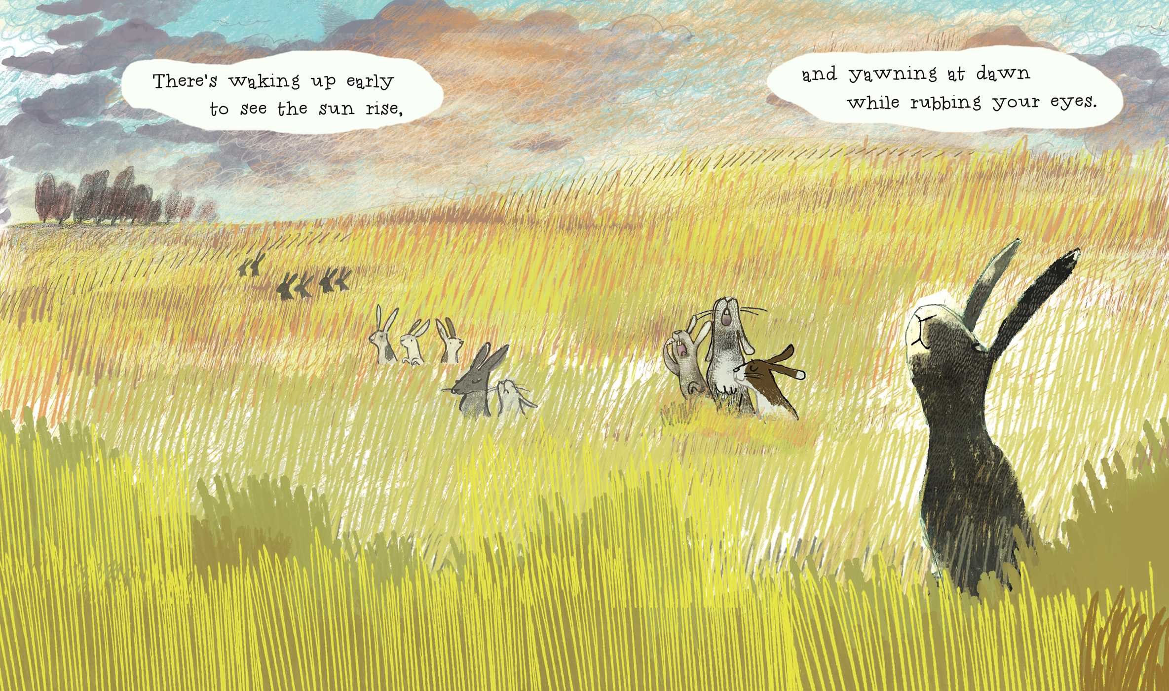 Wonderful Habits of Rabbits
