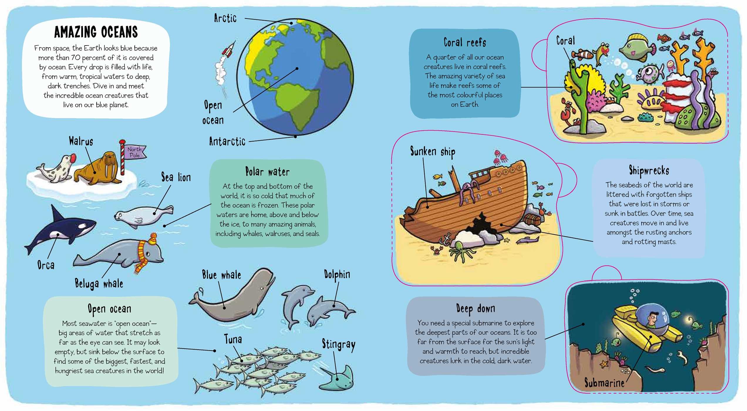 little explorers under the sea book by little bee books