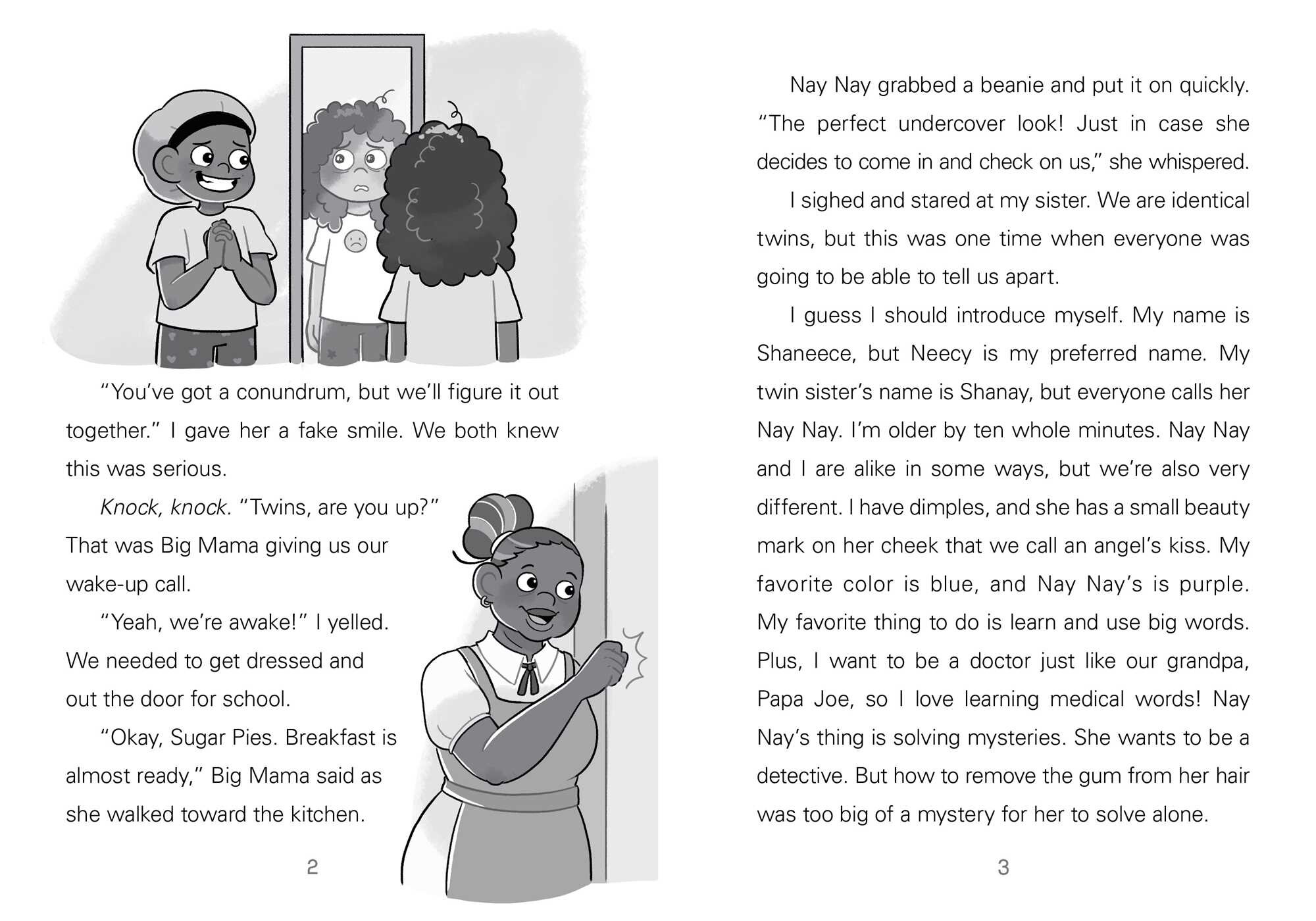 Neecy and Nay Nay and the Tangled, Hairy Mess (Neecy and Nay Nay #1) (A Little Bee Books Chapter Book Series)