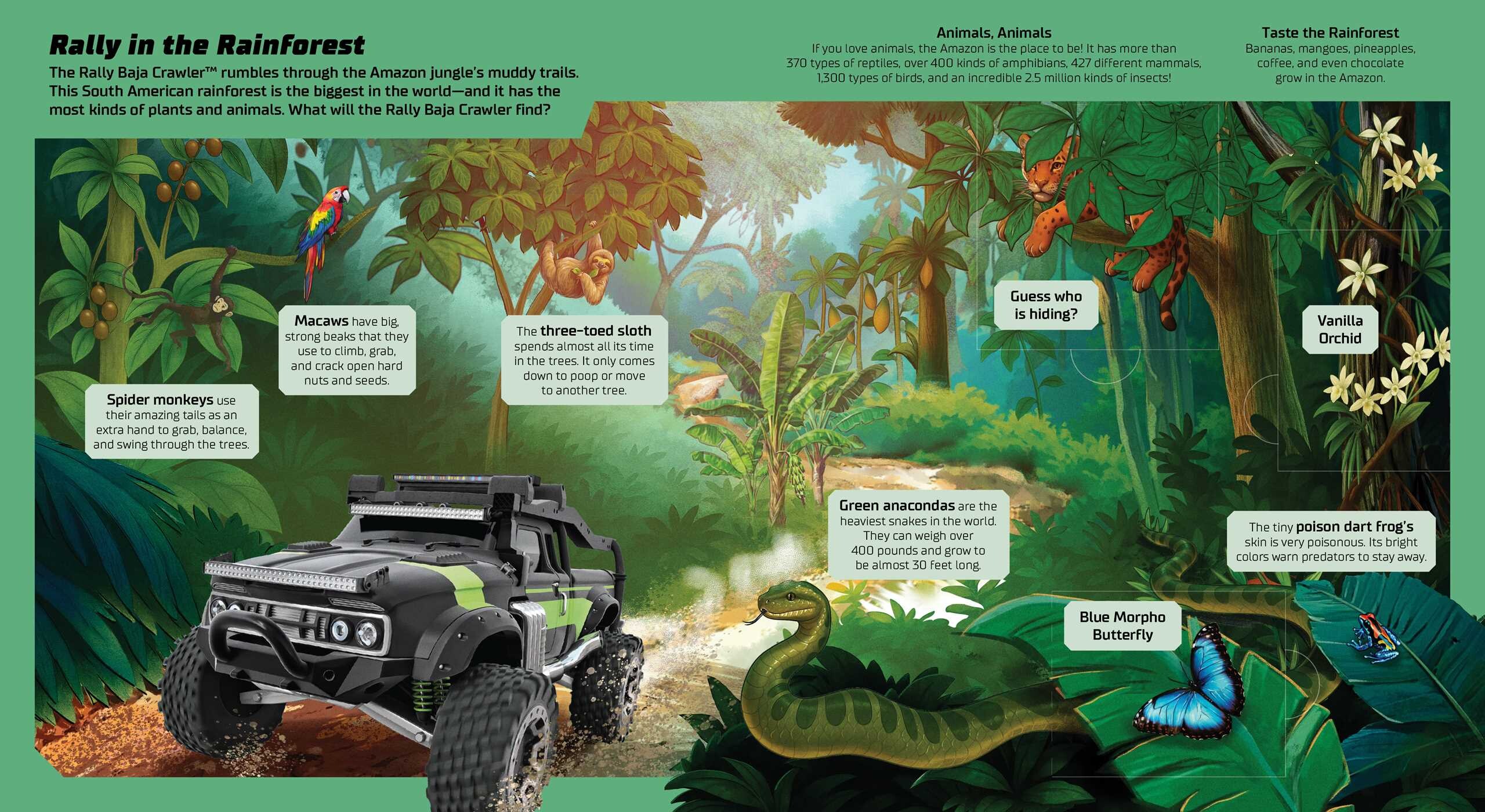 Hot Wheels: Exploring the Wild Wilderness (A Mattel Hot Wheels Lift the Flap Novelty Board Book for Kids)