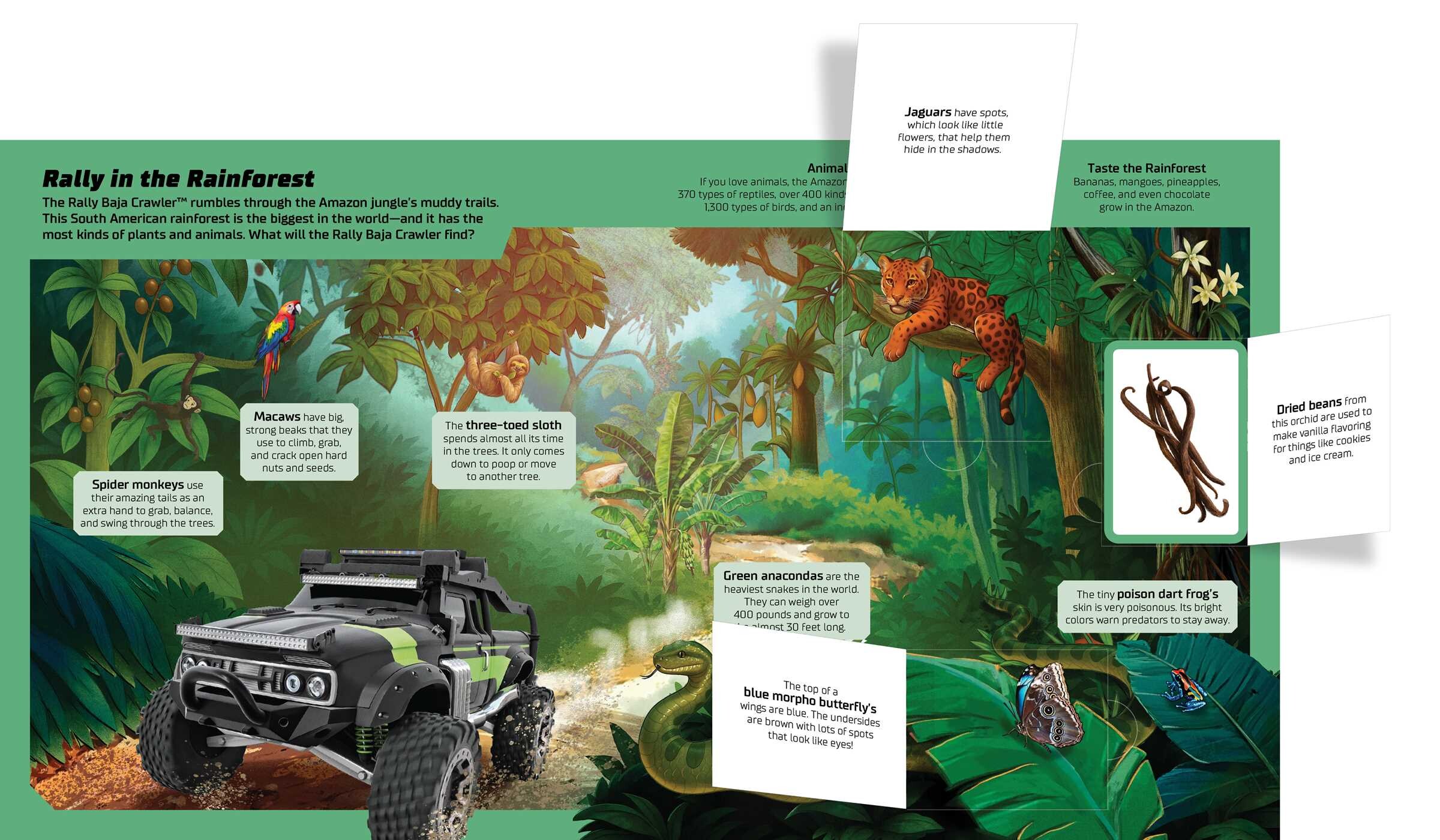 Hot Wheels: Exploring the Wild Wilderness (A Mattel Hot Wheels Lift the Flap Novelty Board Book for Kids)