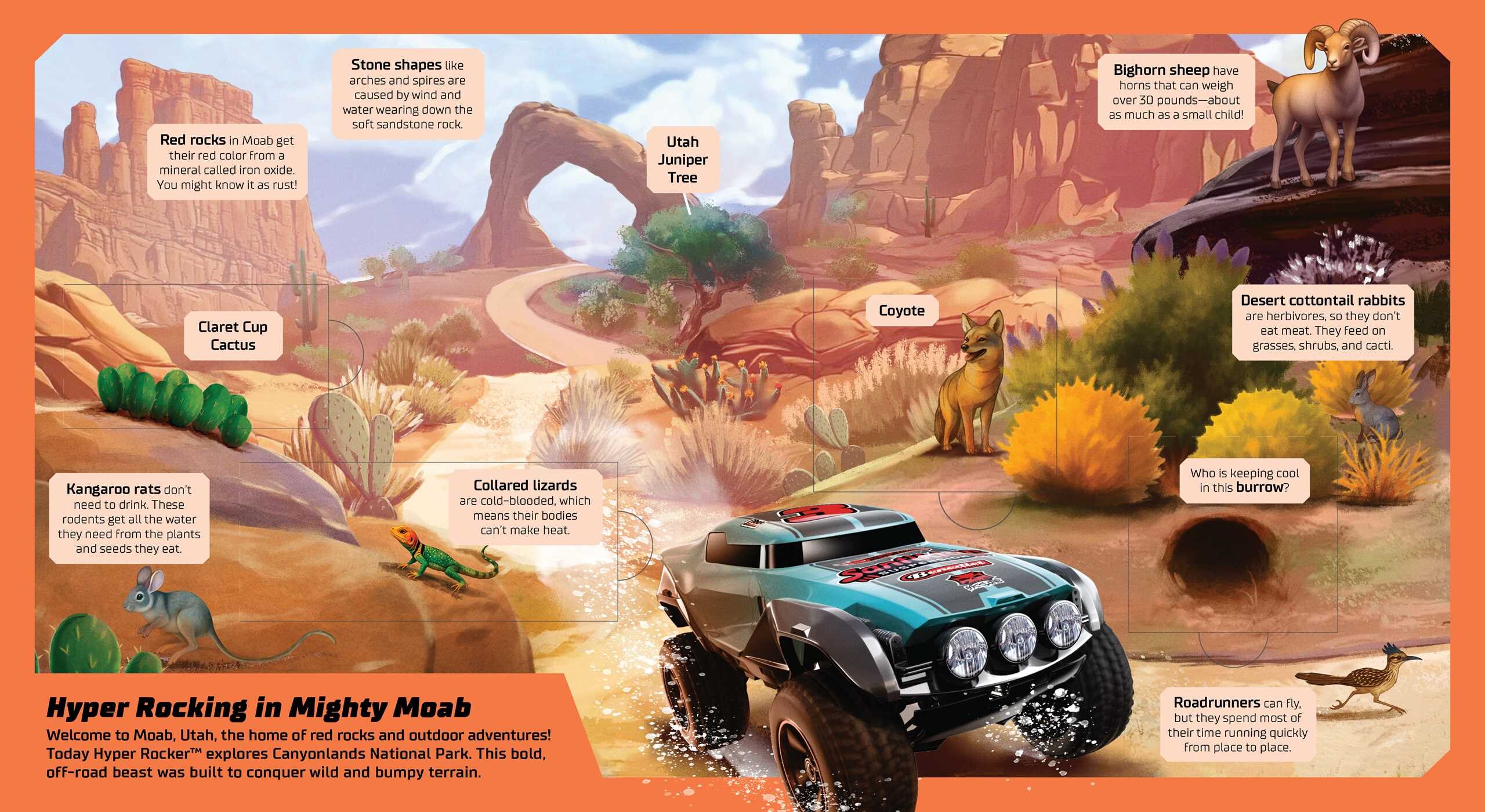 Hot Wheels: Exploring the Wild Wilderness (A Mattel Hot Wheels Lift the Flap Novelty Board Book for Kids)