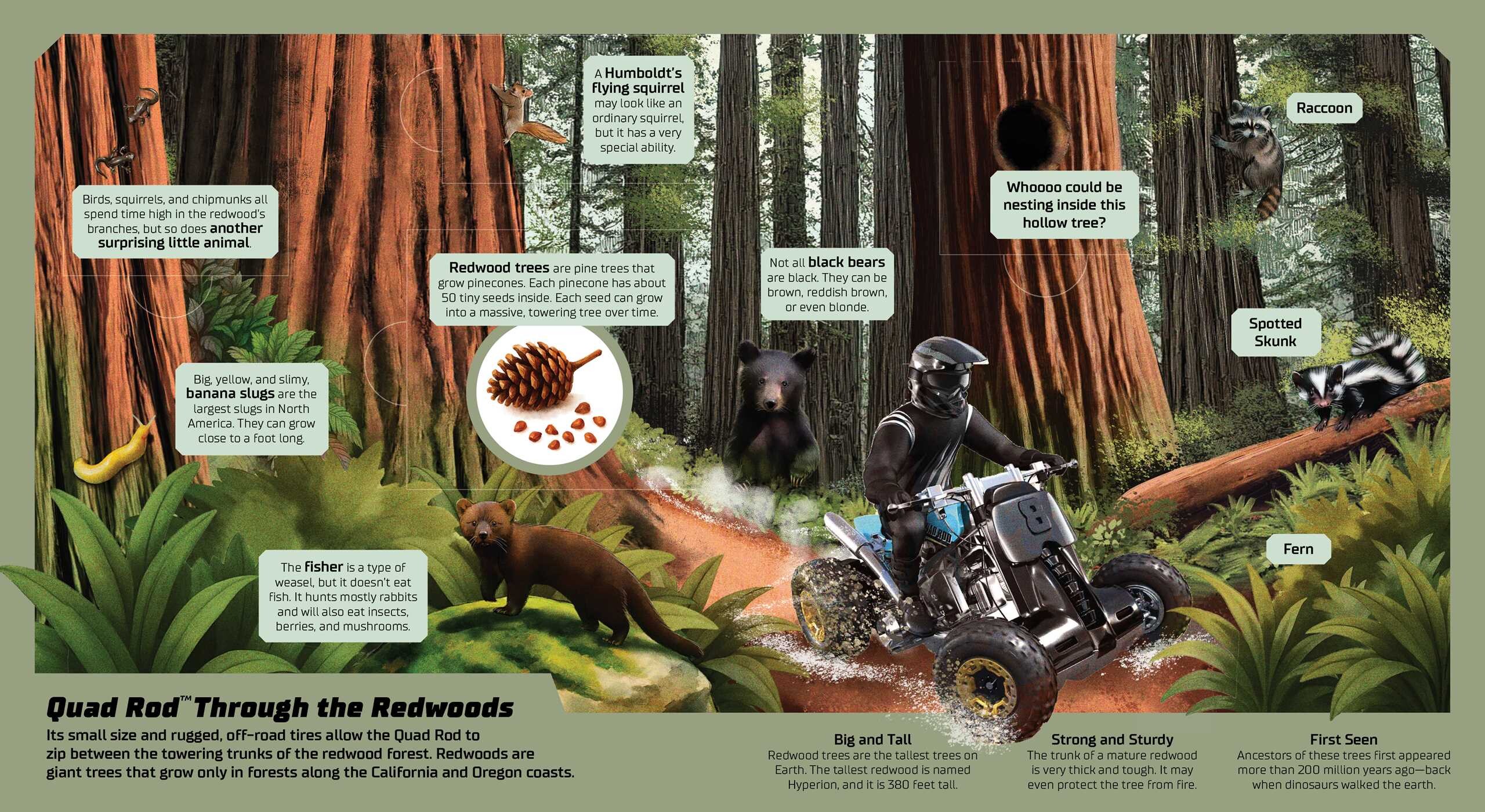 Hot Wheels: Exploring the Wild Wilderness (A Mattel Hot Wheels Lift the Flap Novelty Board Book for Kids)