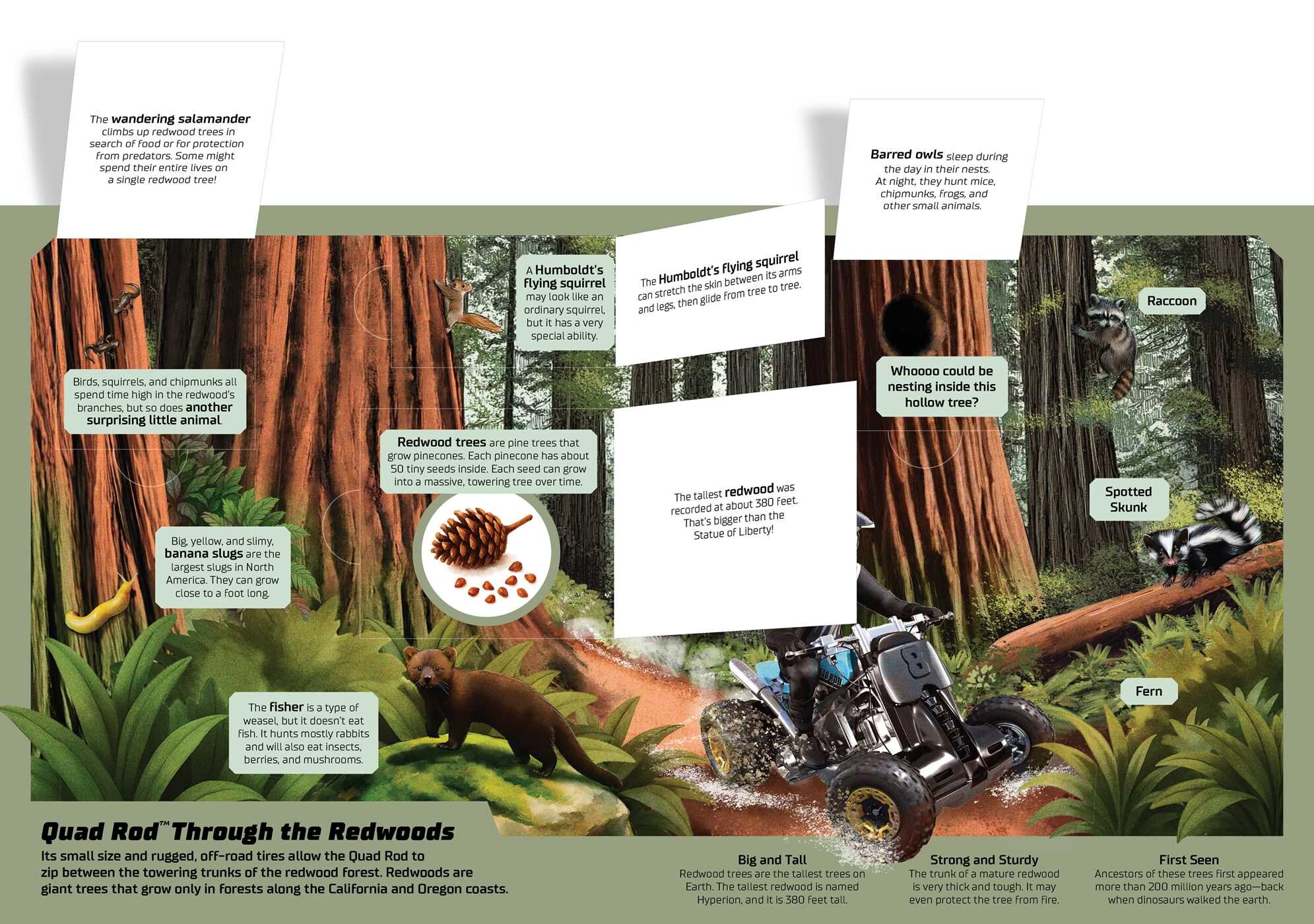 Hot Wheels: Exploring the Wild Wilderness (A Mattel Hot Wheels Lift the Flap Novelty Board Book for Kids)