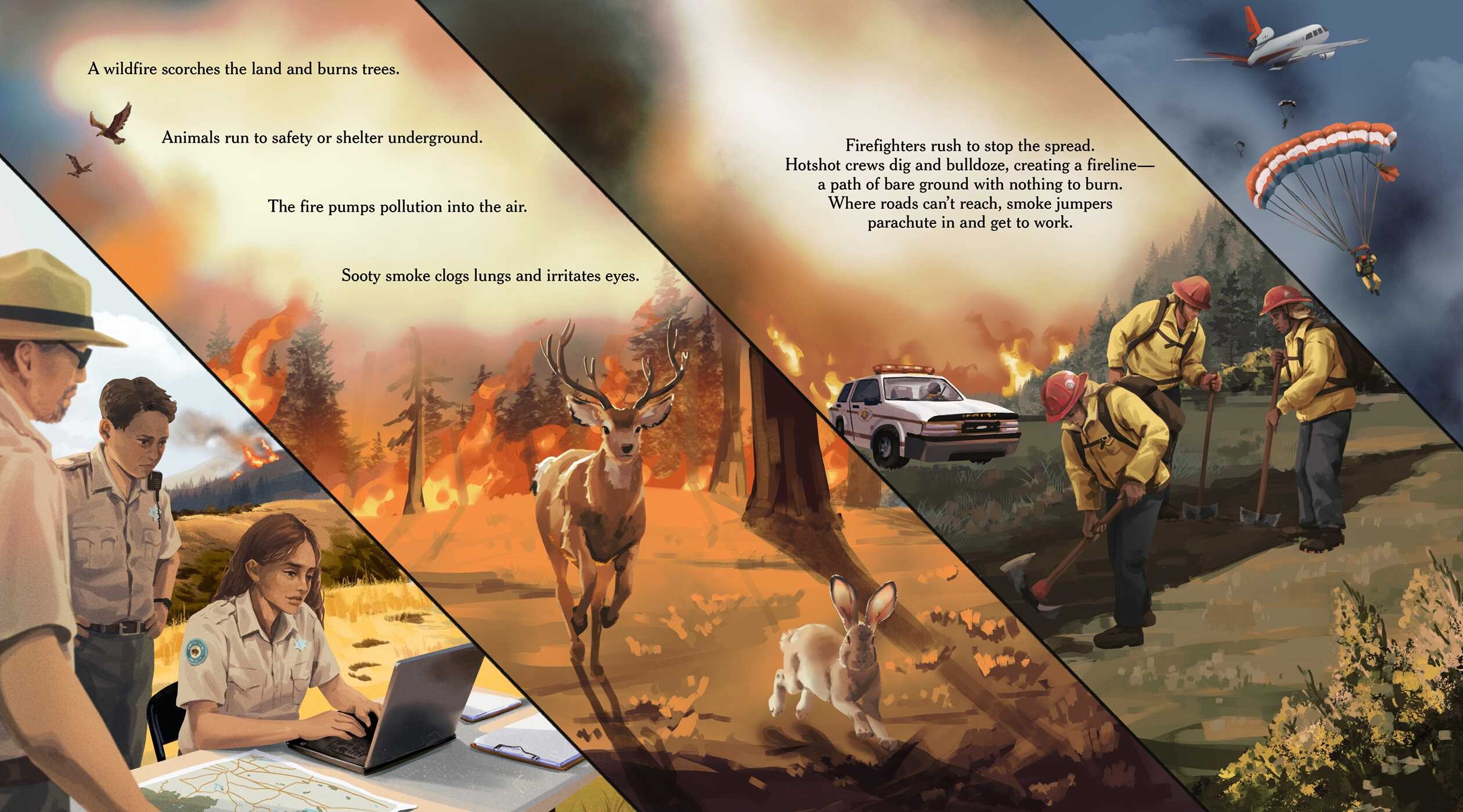Before It Was a Wildfire (A Nonfiction Earth Science Picture Book with Double Gatefold for Kids)