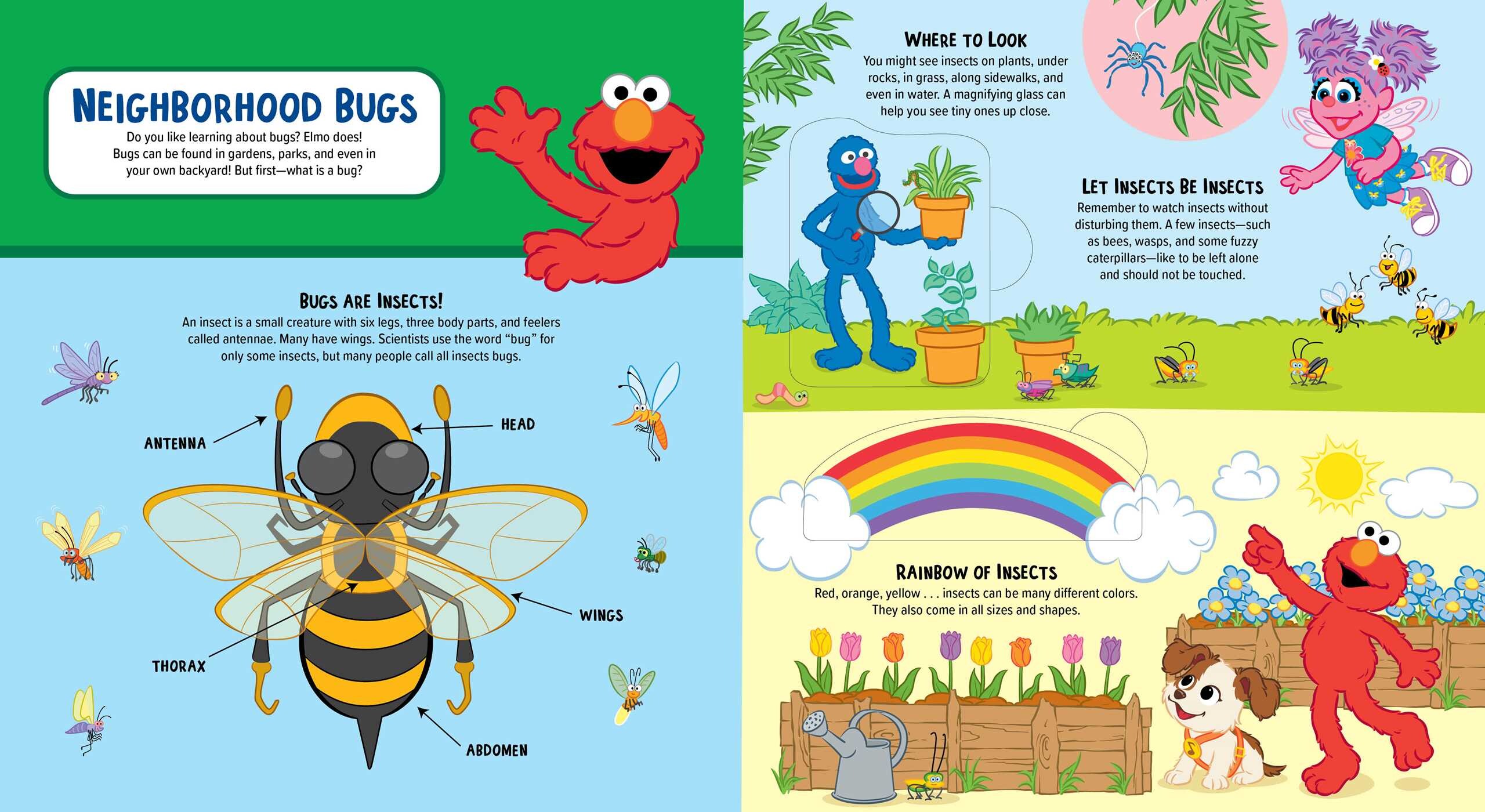 Sesame Street: Elmo's Backyard Bug  Adventure (A Sesame Street Elmo Lift the Flap Novelty Board Book for Kids)