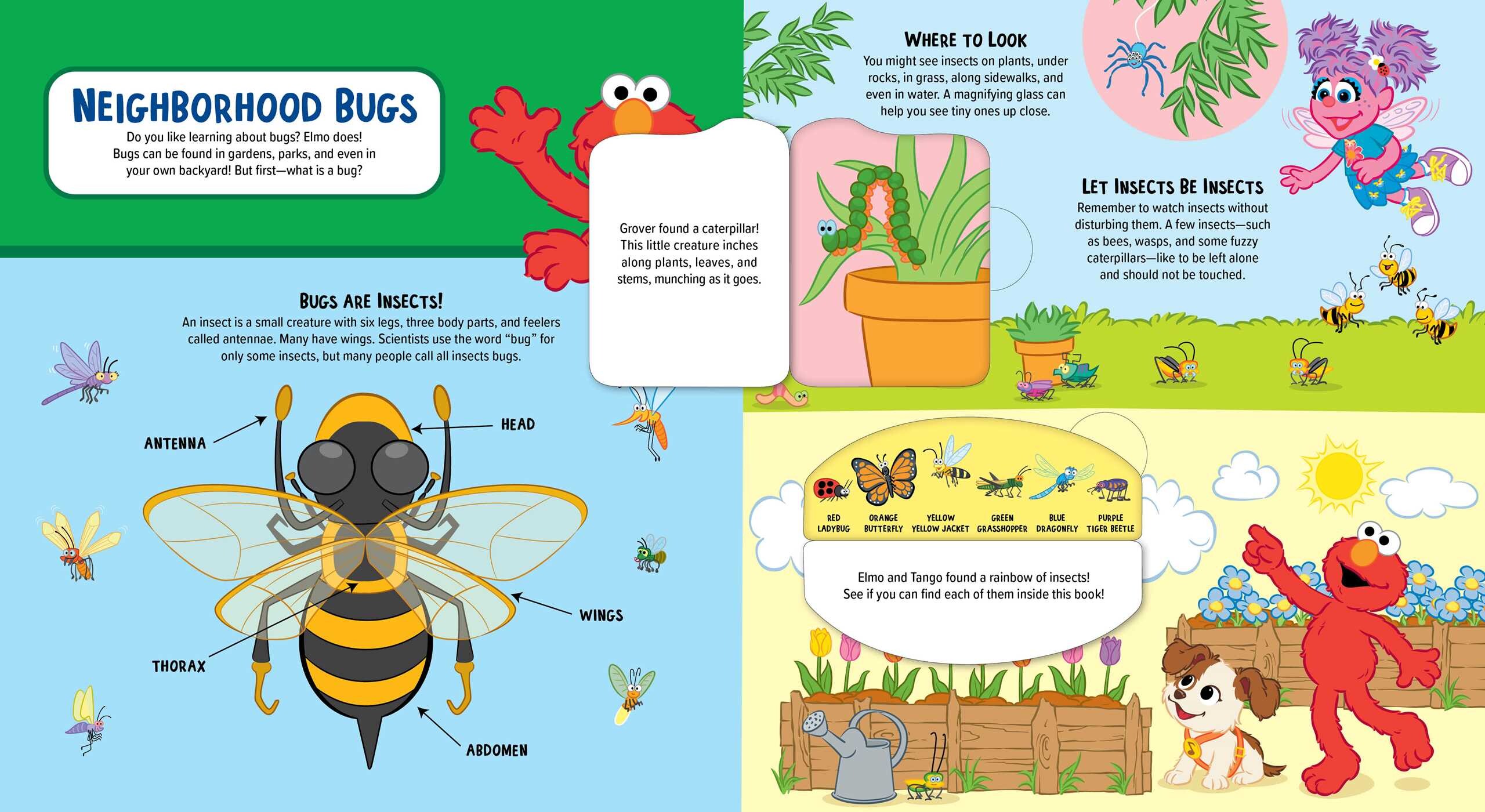 Sesame Street: Elmo's Backyard Bug  Adventure (A Sesame Street Elmo Lift the Flap Novelty Board Book for Kids)