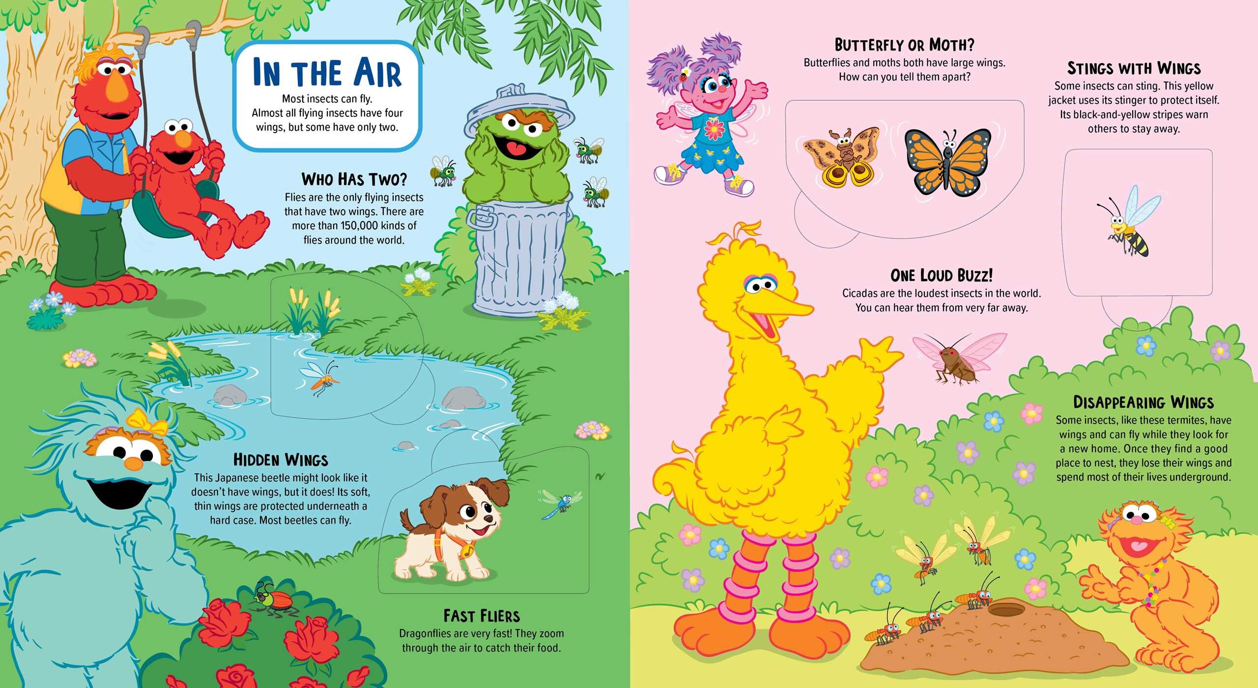 Sesame Street: Elmo's Backyard Bug  Adventure (A Sesame Street Elmo Lift the Flap Novelty Board Book for Kids)