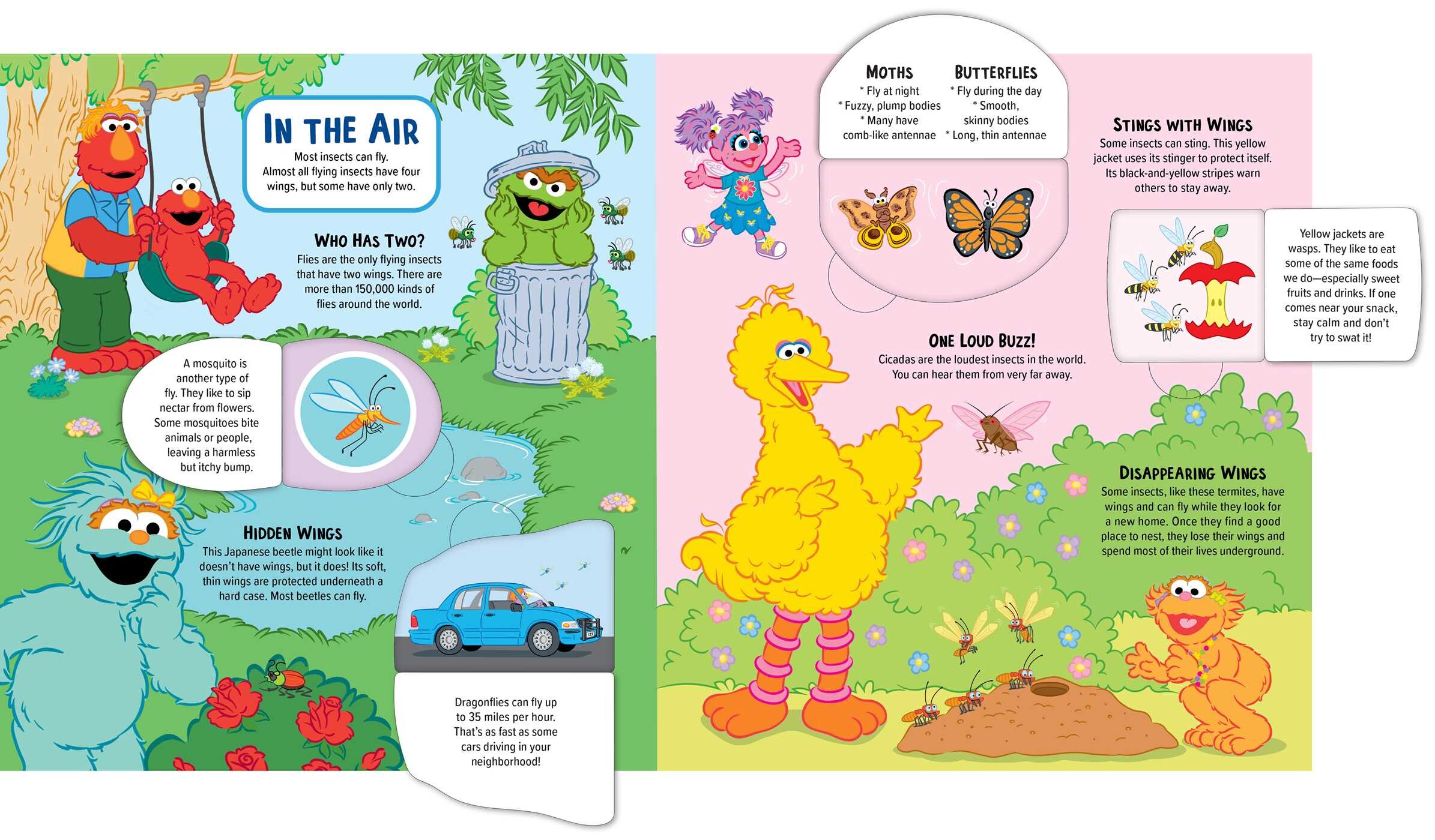 Sesame Street: Elmo's Backyard Bug  Adventure (A Sesame Street Elmo Lift the Flap Novelty Board Book for Kids)
