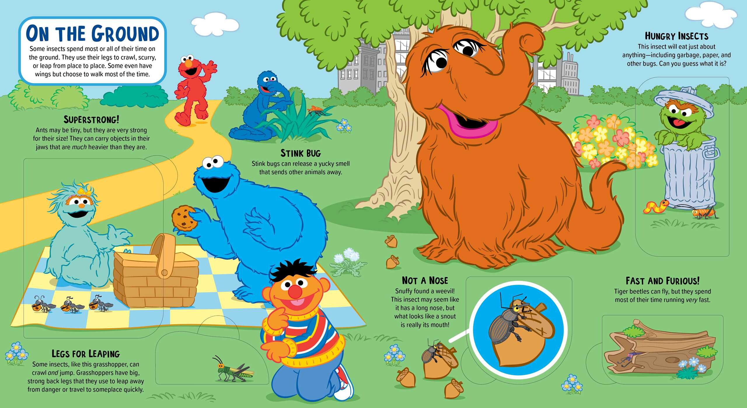 Sesame Street: Elmo's Backyard Bug  Adventure (A Sesame Street Elmo Lift the Flap Novelty Board Book for Kids)