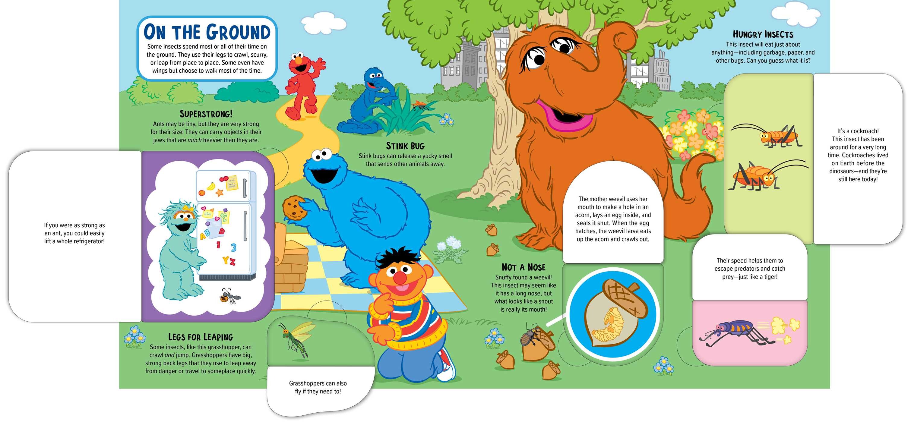 Sesame Street: Elmo's Backyard Bug  Adventure (A Sesame Street Elmo Lift the Flap Novelty Board Book for Kids)