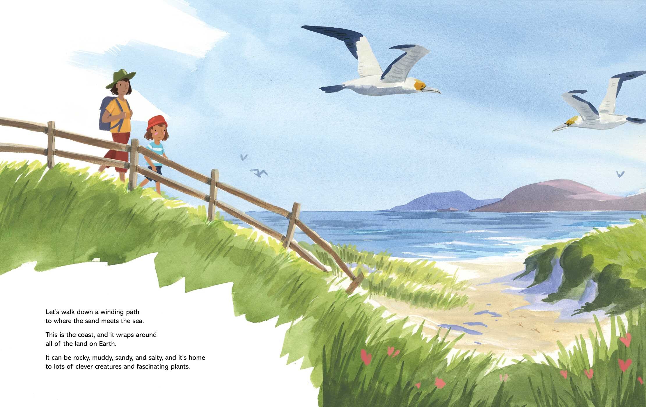 Coastal Creatures (A Nonfiction Animal Picture Book with Gatefold for Kids)