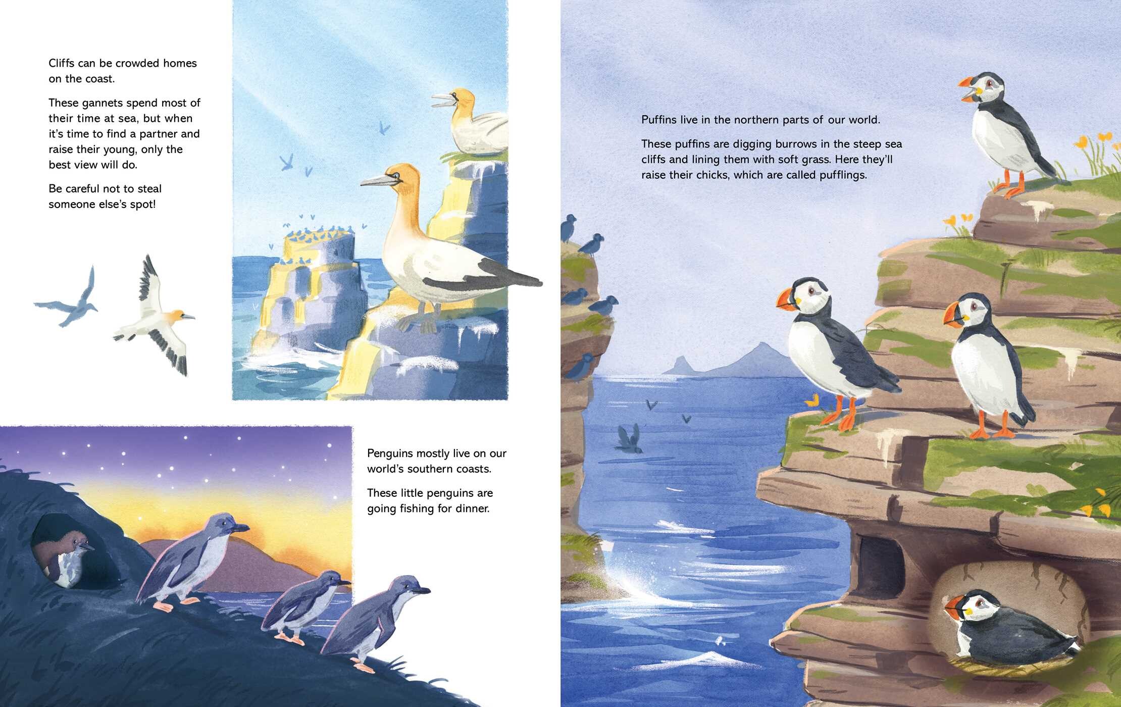 Coastal Creatures (A Nonfiction Animal Picture Book with Gatefold for Kids)