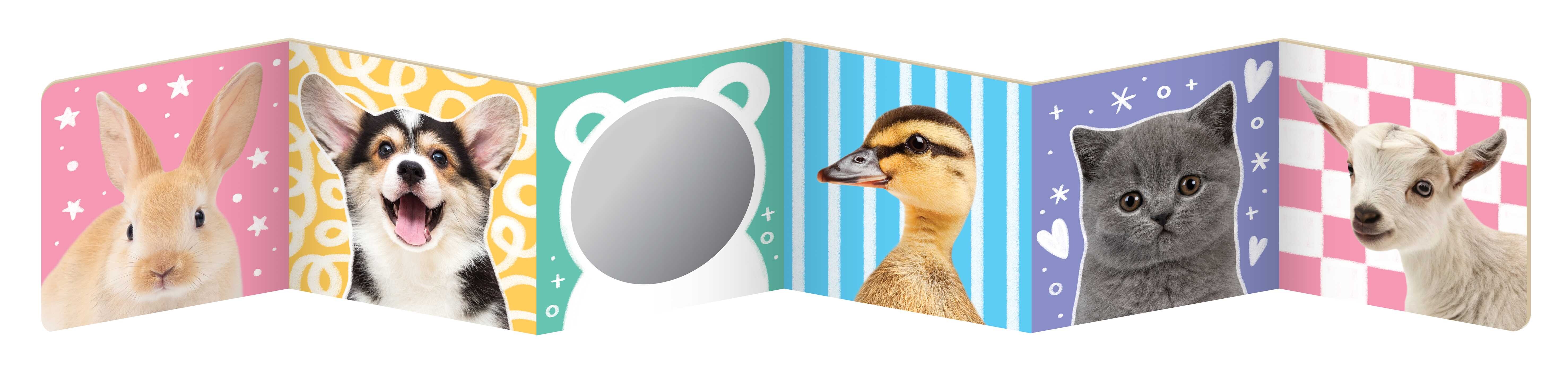 Baby Animal Faces (A Tummy Time, High Contrast, Accordion Board Book with Mirror for infants)