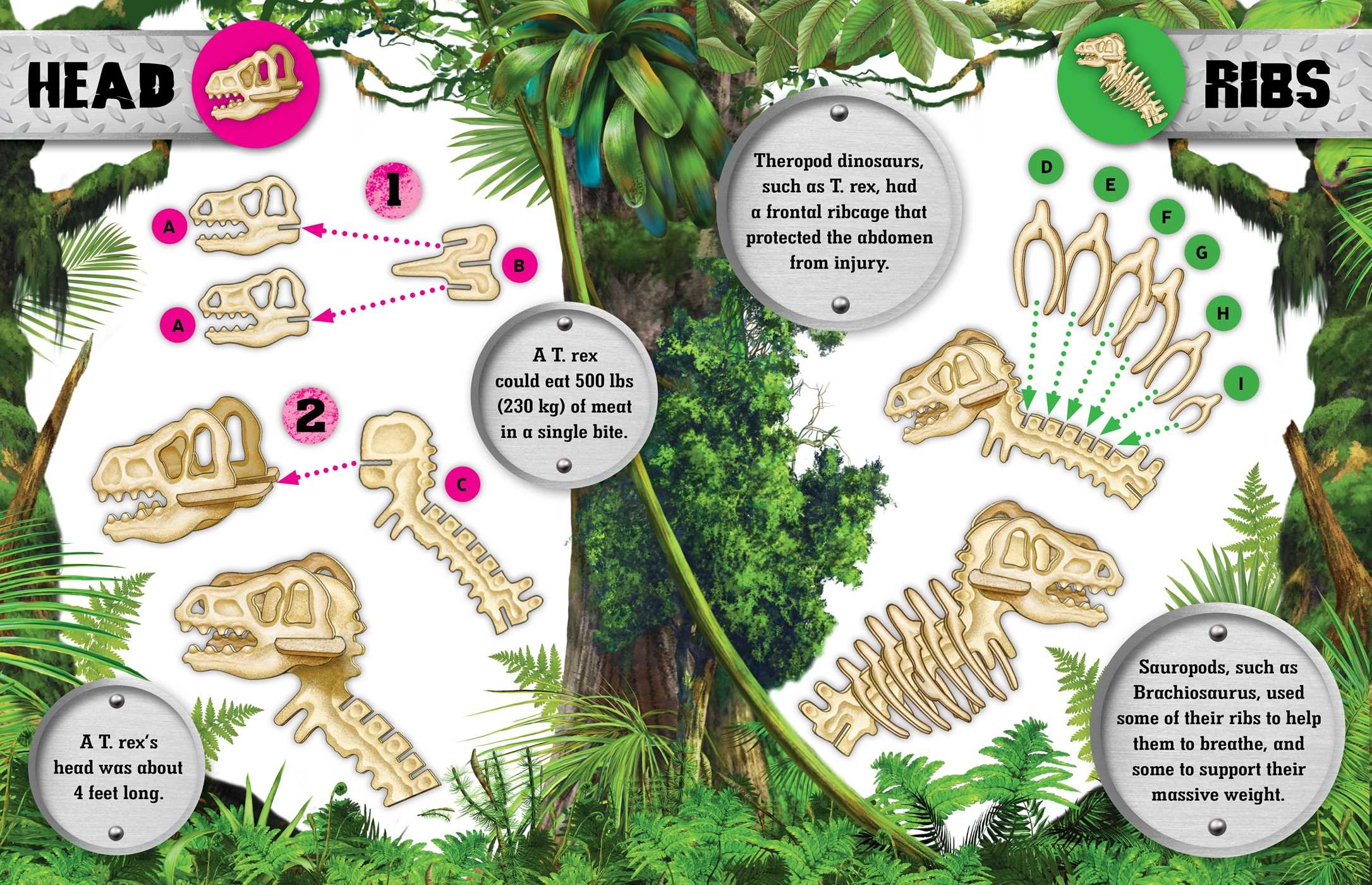 Make Your Own Dinosaur Book by IglooBooks Official Publisher Page