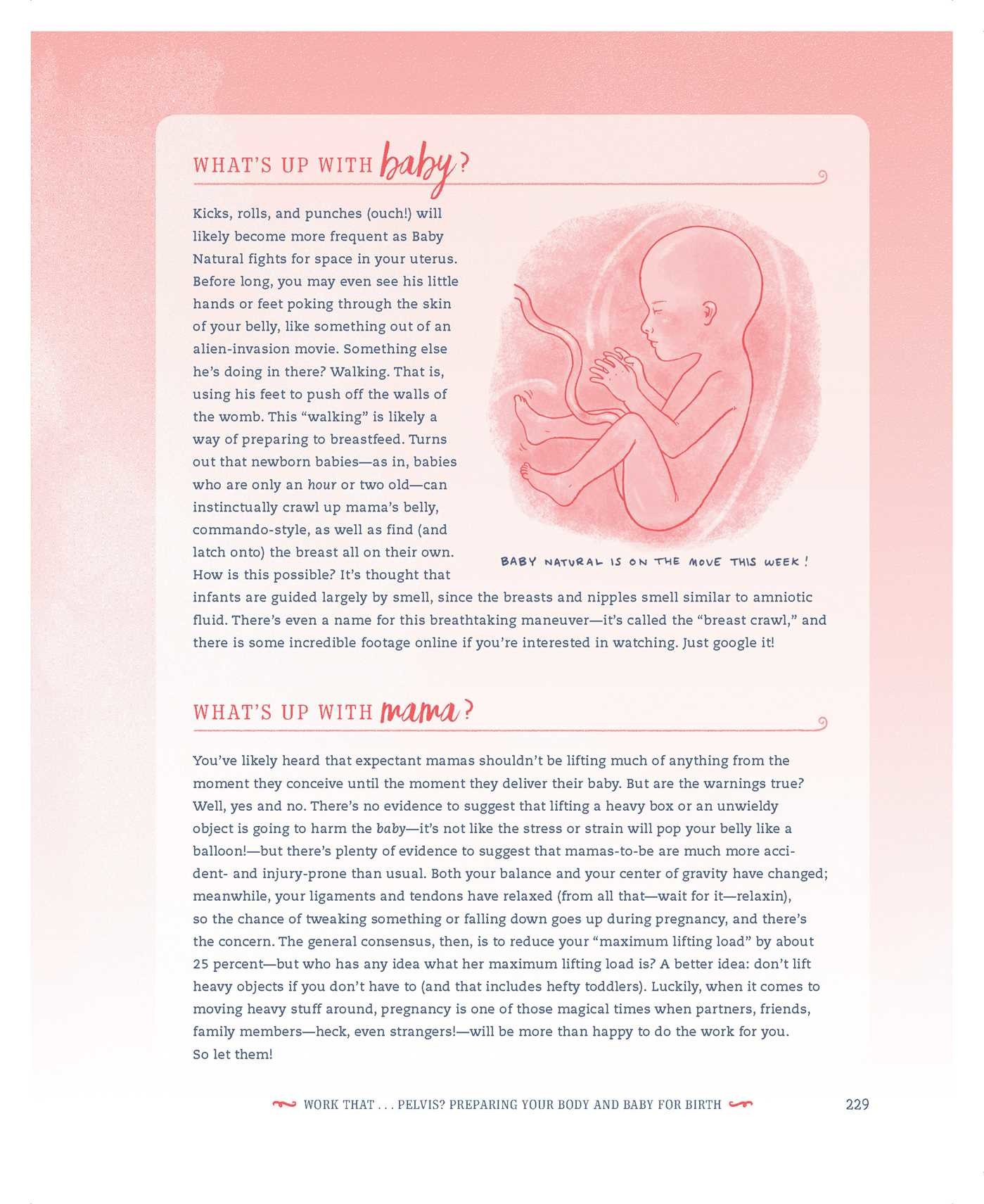 The Mama Natural Week-by-Week Guide to Pregnancy and Childbirth | Book ...