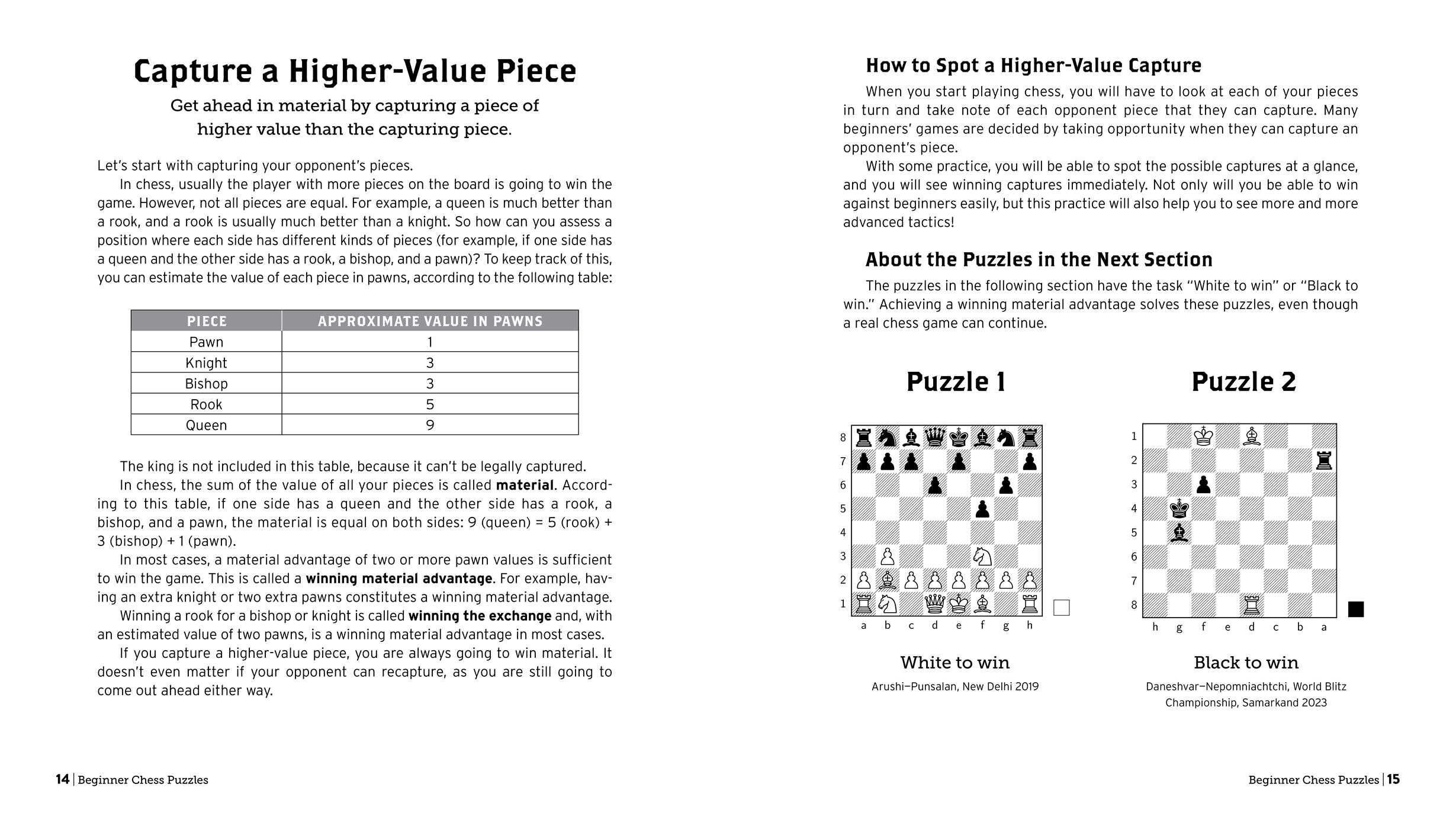 Beginner Chess Puzzles | Book by Martin Bennedik | Official Publisher ...