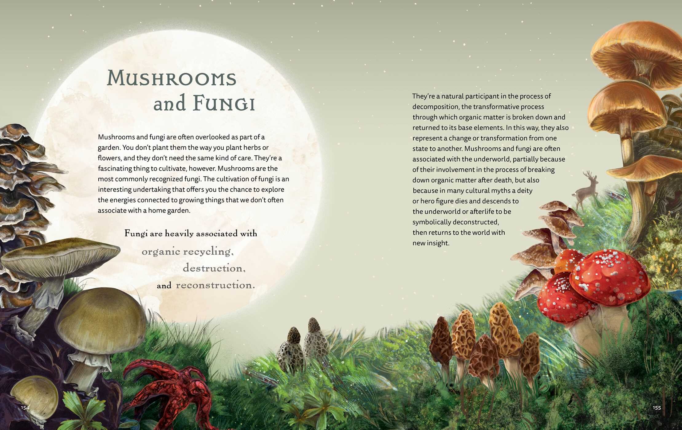 The Green Witch Illustrated | Book by Arin Murphy-Hiscock, Sara Richard ...