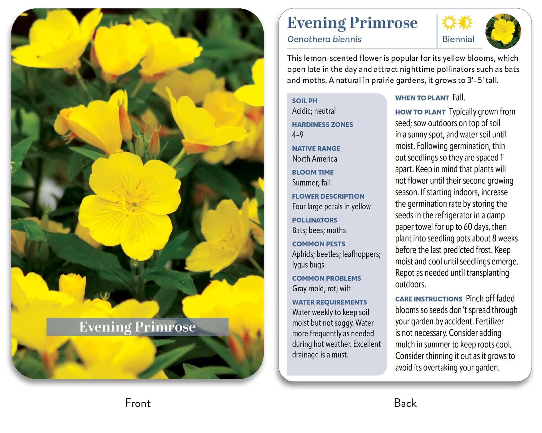 Flower Garden Deck