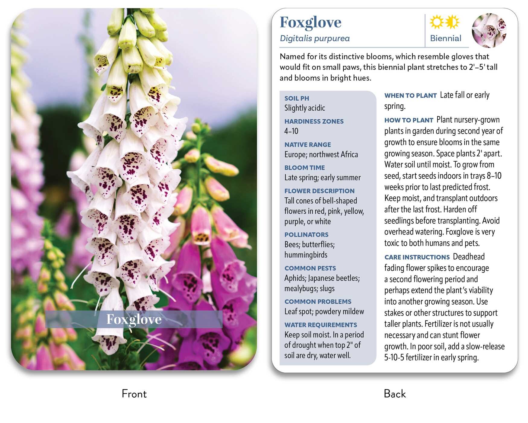 Flower Garden Deck