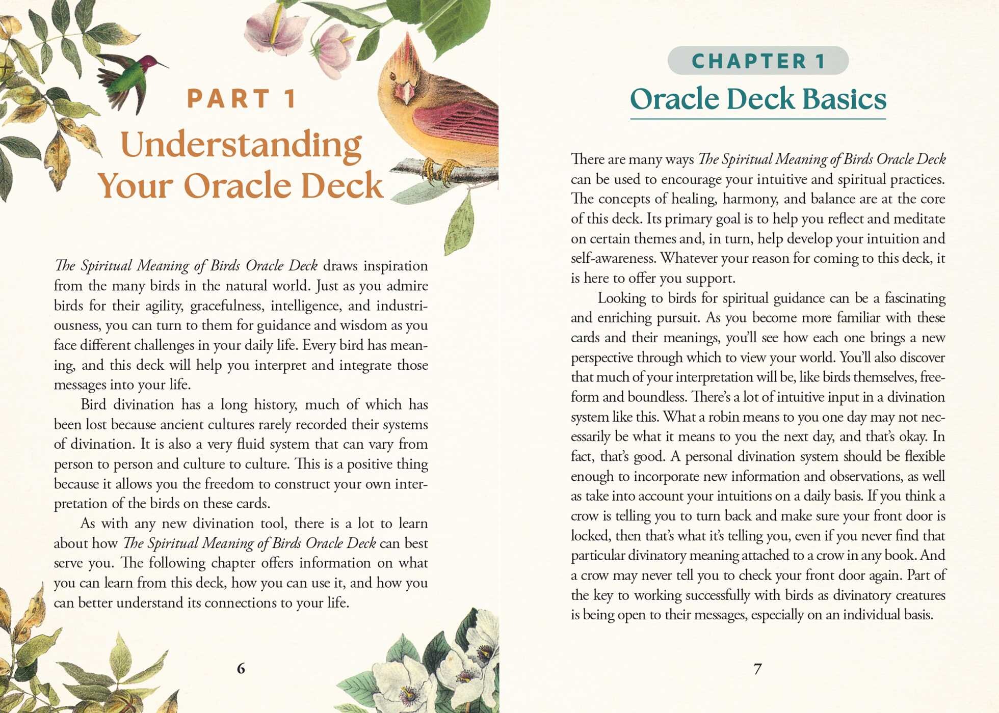 The Spiritual Meaning of Birds Oracle Deck Book Summary & Video