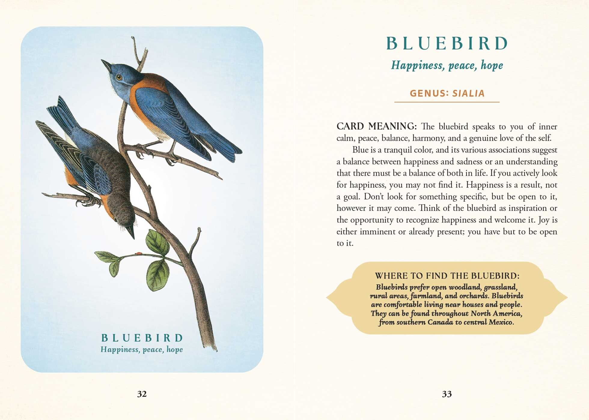 The Spiritual Meaning of Birds Oracle Deck Book Summary & Video