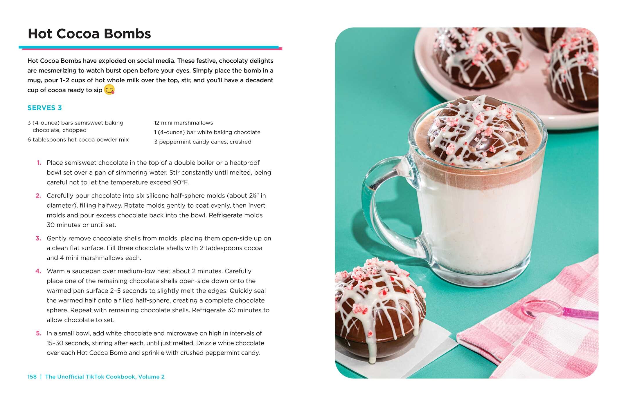 Unofficial TikTok Cookbook, Volume 2