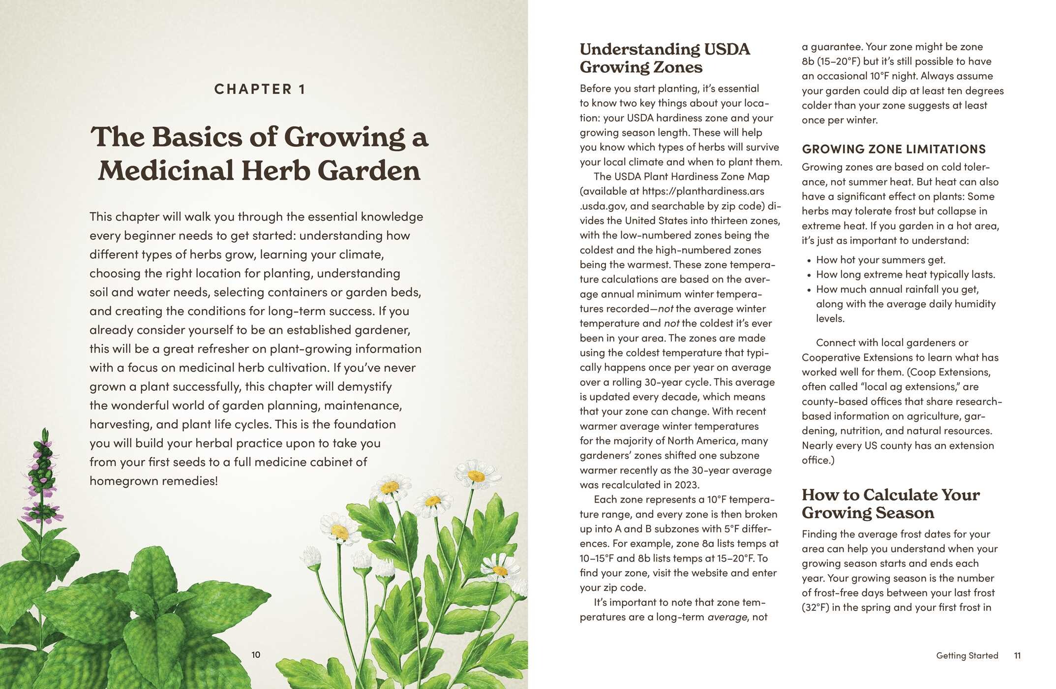 How to Grow Medicinal Herbs