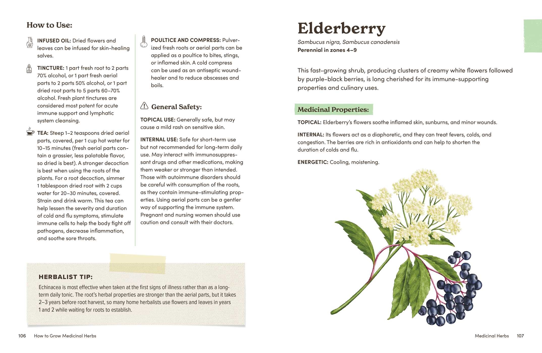 How to Grow Medicinal Herbs