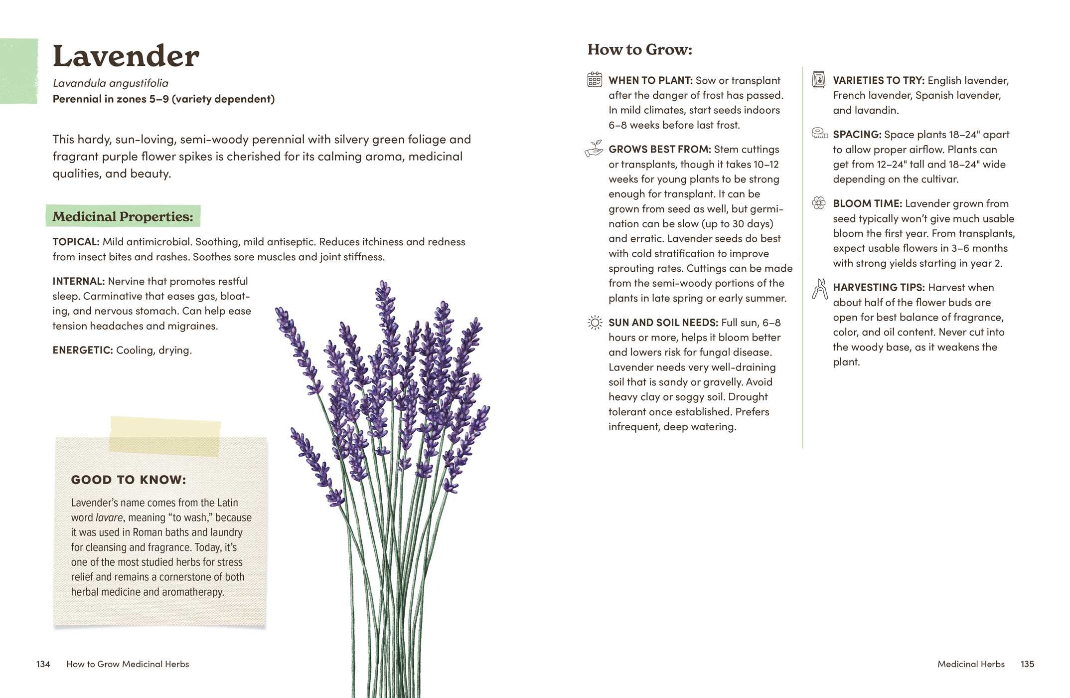 How to Grow Medicinal Herbs