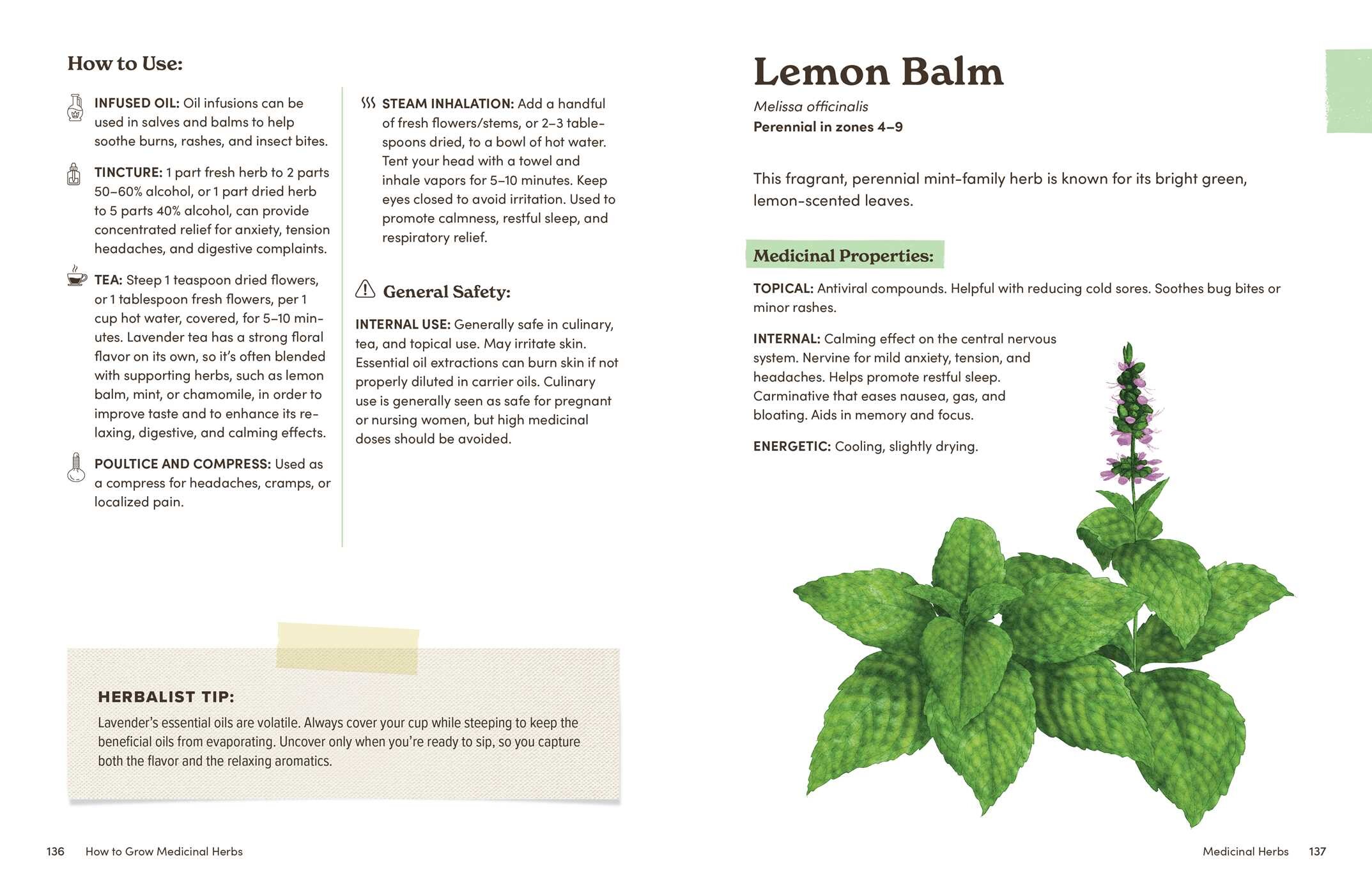 How to Grow Medicinal Herbs