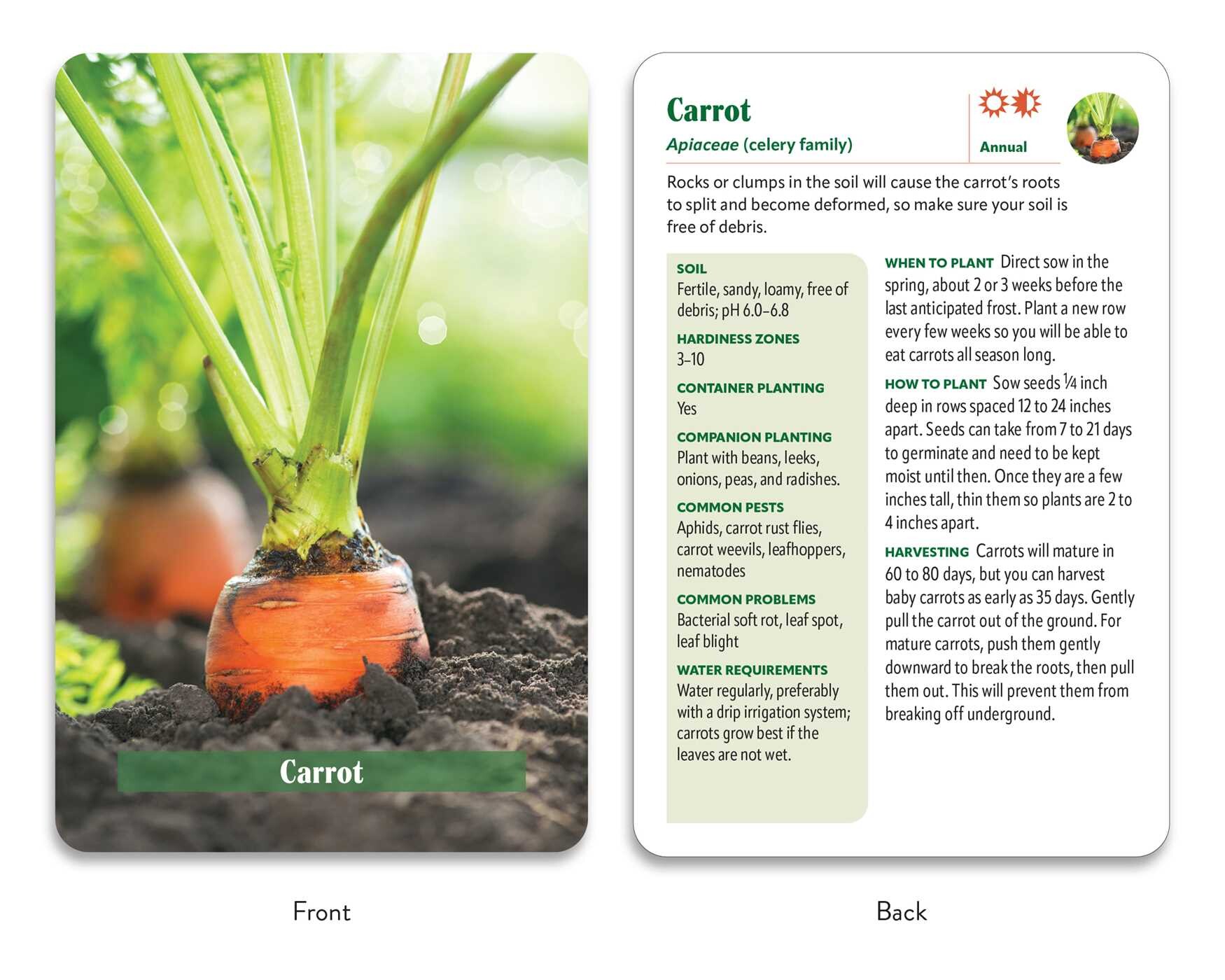 Vegetable Garden Deck