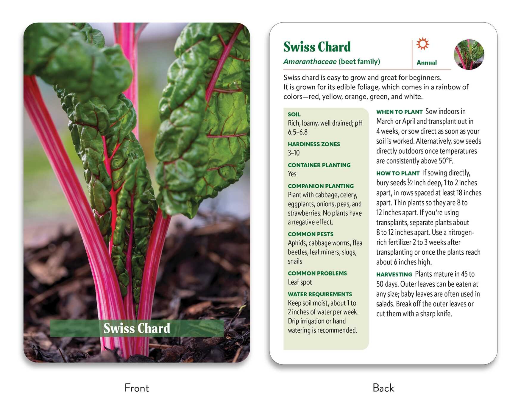 Vegetable Garden Deck