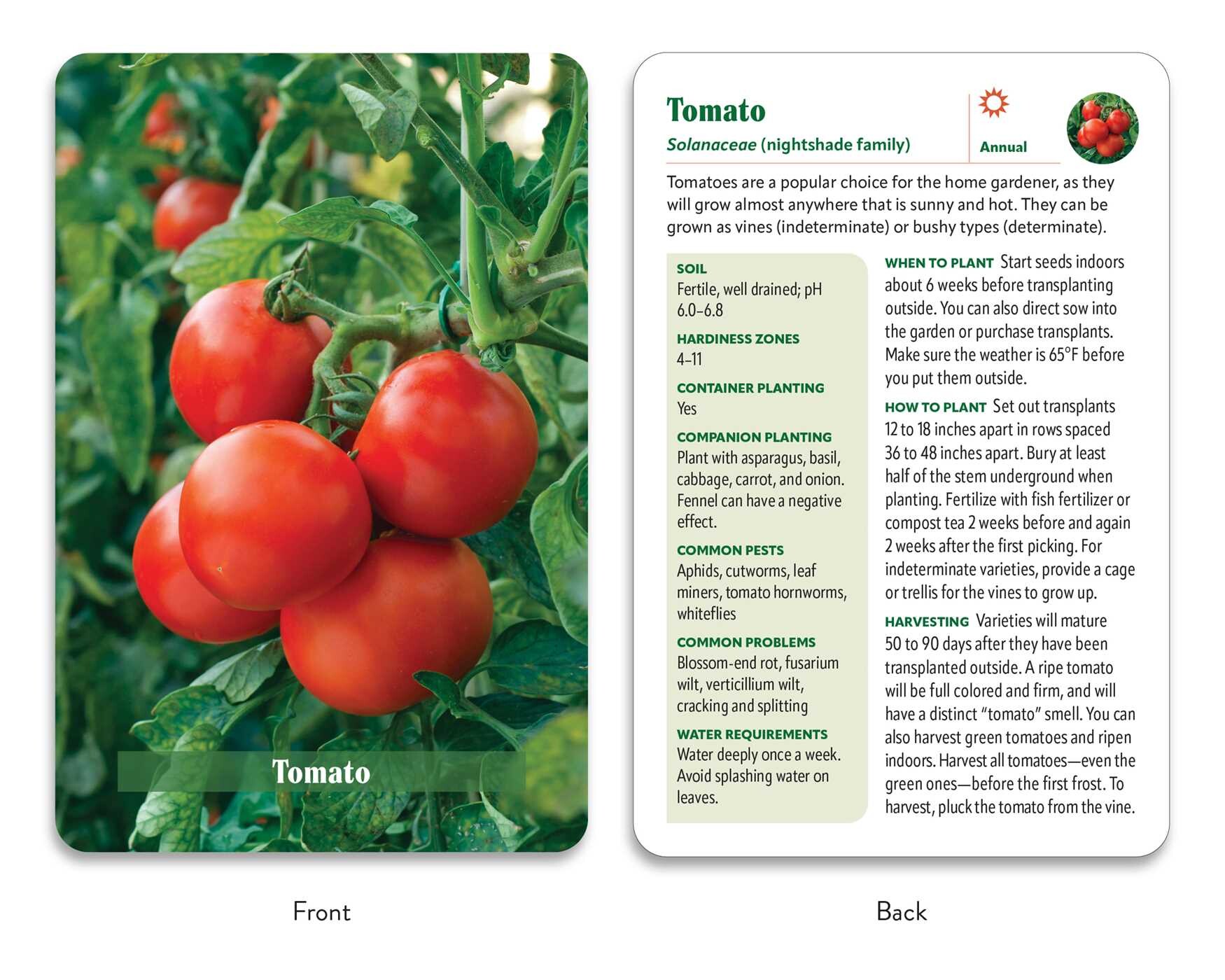 Vegetable Garden Deck