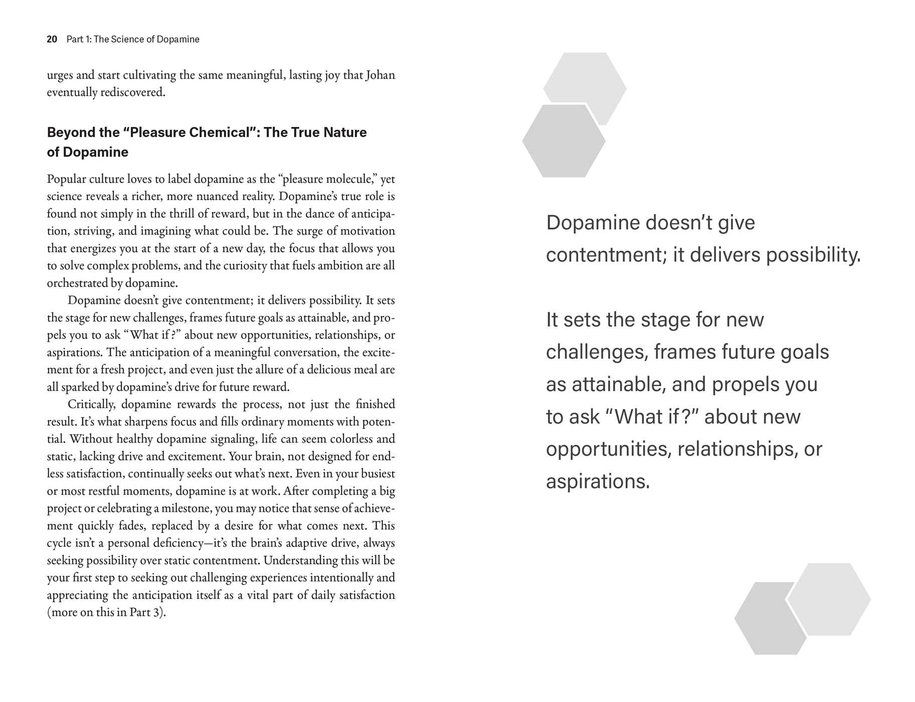 Dopamine Code