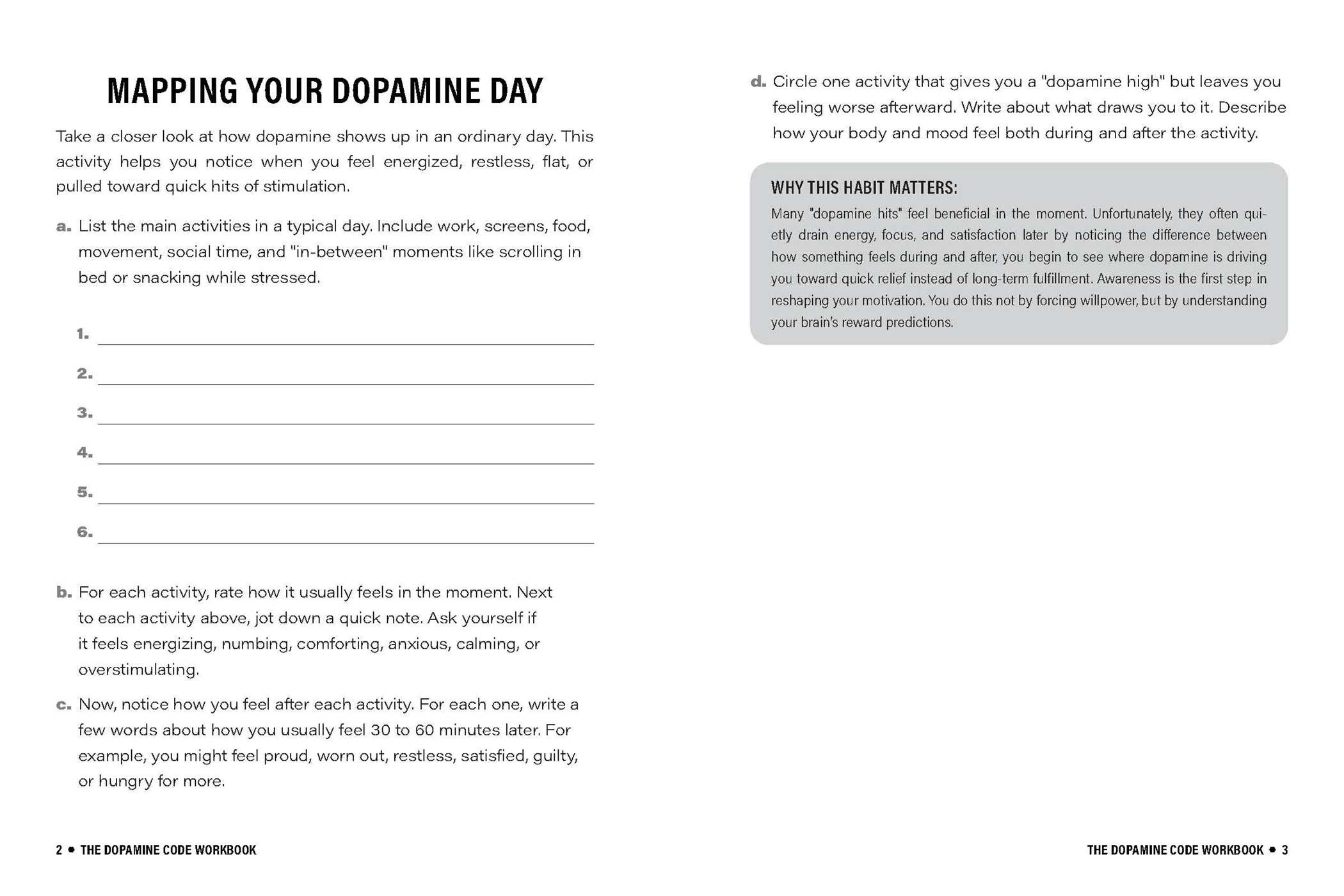 Dopamine Code Workbook