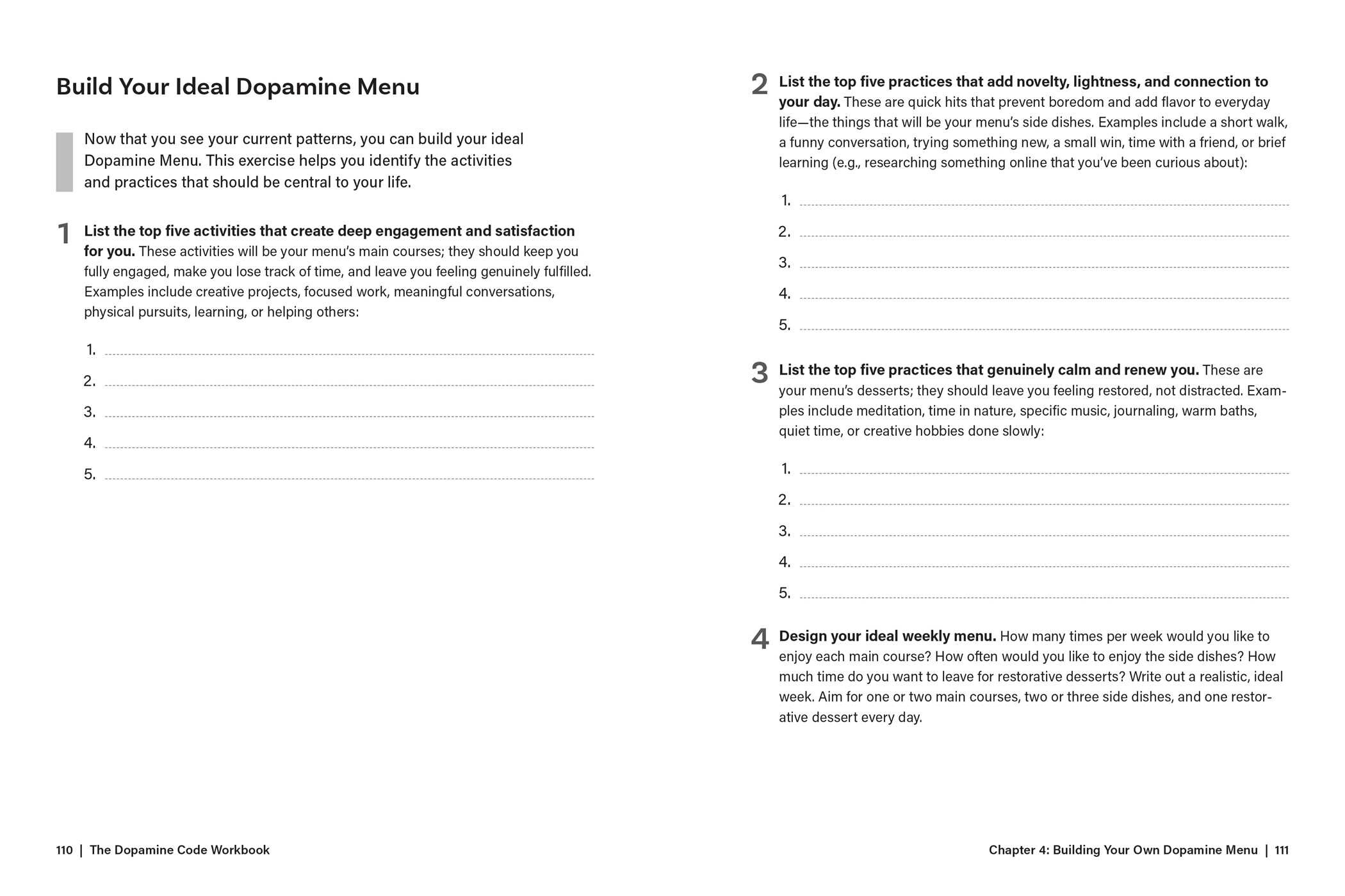 Dopamine Code Workbook