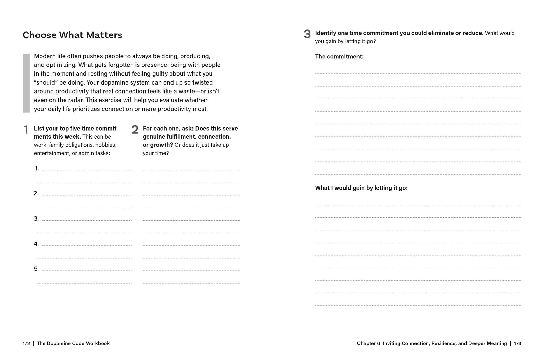Dopamine Code Workbook