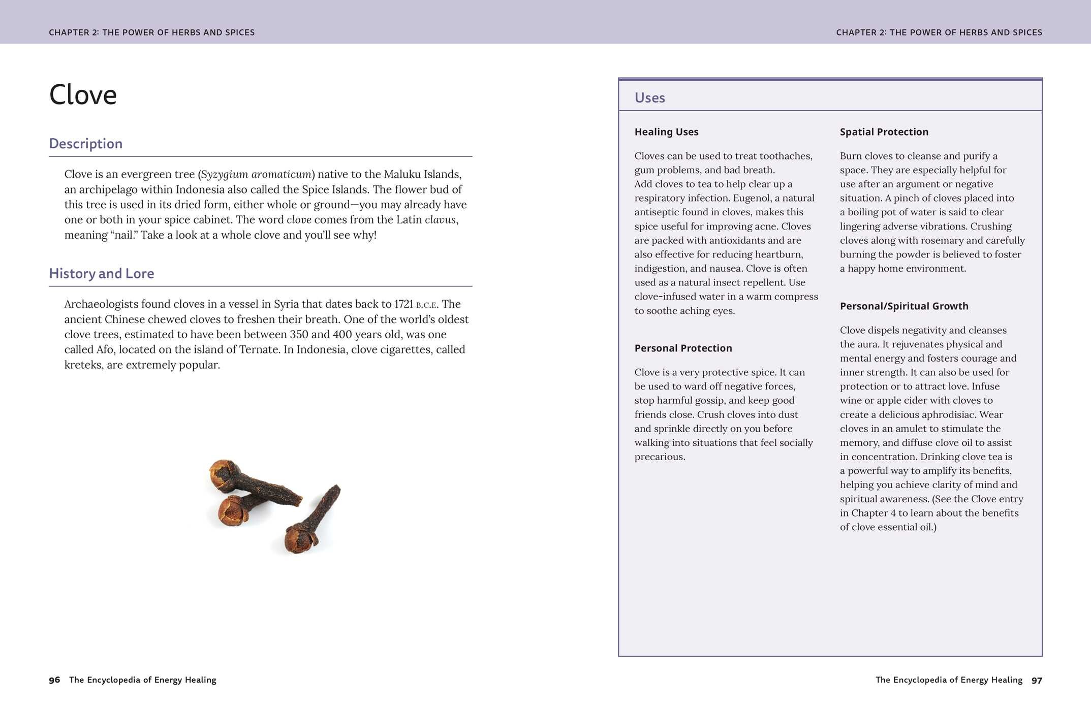 Encyclopedia of Energy Healing