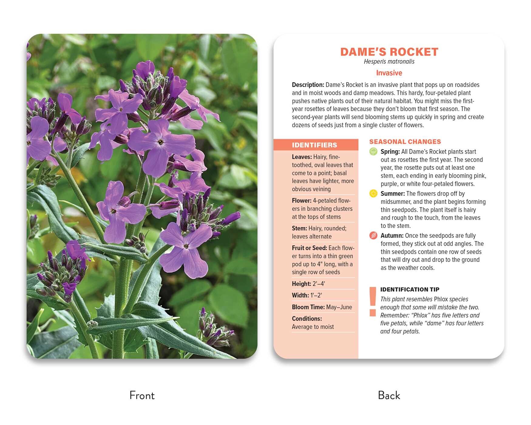 Native Plant Identification Deck: Midwest US