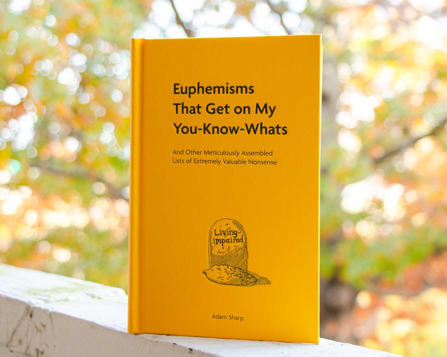 Euphemisms That Get on My You-Know-Whats