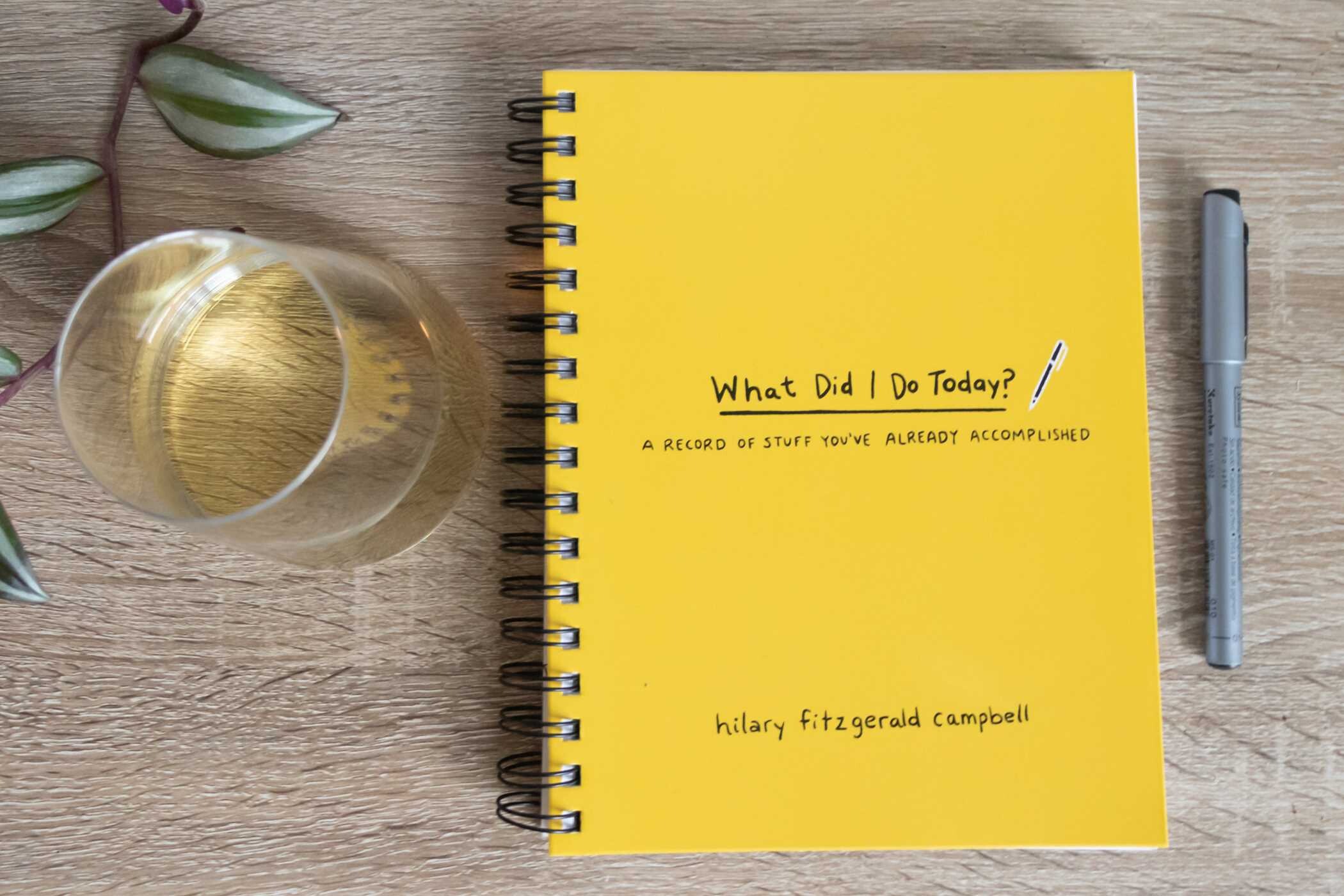 What Did I Do Today? | Book by Hilary Fitzgerald Campbell | Official ...