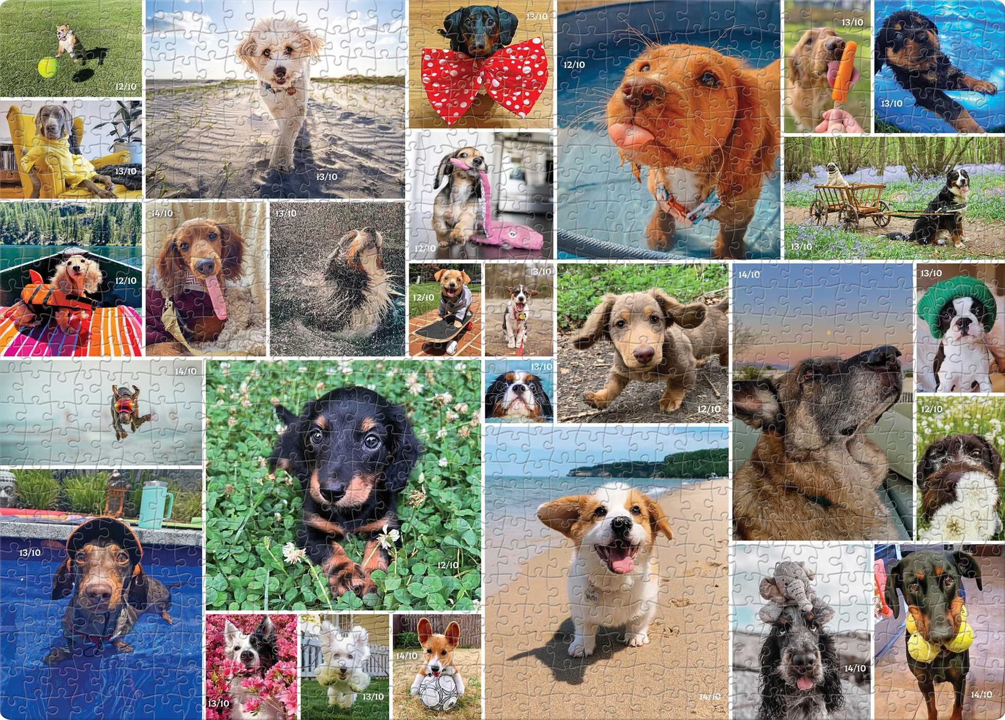 WeRateDogs 1000 Piece Jigsaw Puzzle